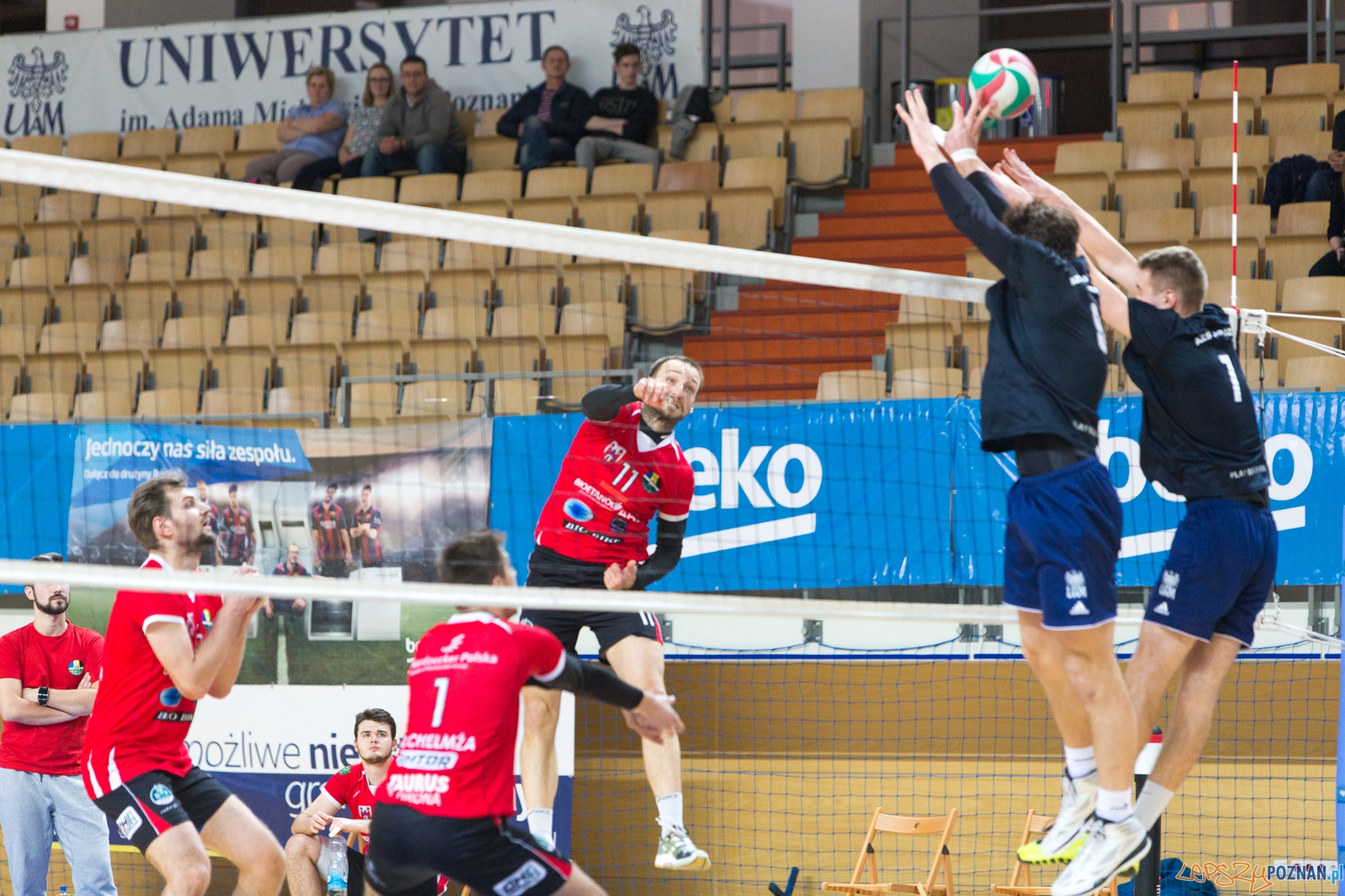 AZS UAM Poznań - KS Chełmża Foto: lepszyPOZNAN.pl / Piotr Rychter AZS UAM Poznań - KS Chełmża Foto: lepszyPOZNAN.pl / Piotr Rychter