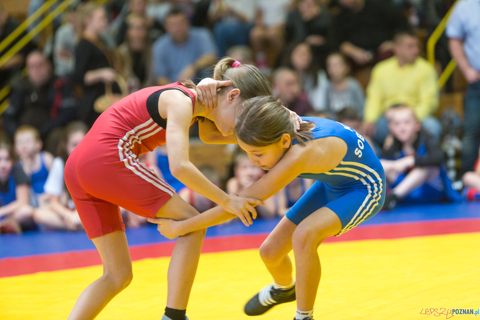 Turniej Świąteczny Zapasy z Gwiazdorem. Foto: lepszyPOZNAN.pl / Piotr Rychter Turniej Świąteczny Zapasy z Gwiazdorem. Foto: lepszyPOZNAN.pl / Piotr Rychter