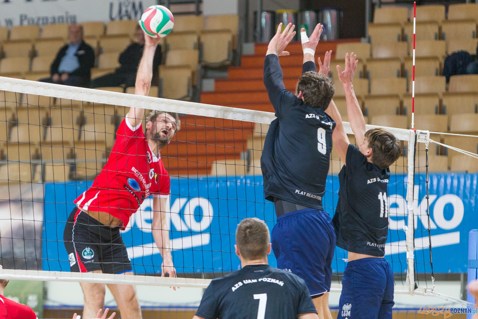 AZS UAM Poznań - KS Chełmża Foto: lepszyPOZNAN.pl / Piotr Rychter AZS UAM Poznań - KS Chełmża Foto: lepszyPOZNAN.pl / Piotr Rychter