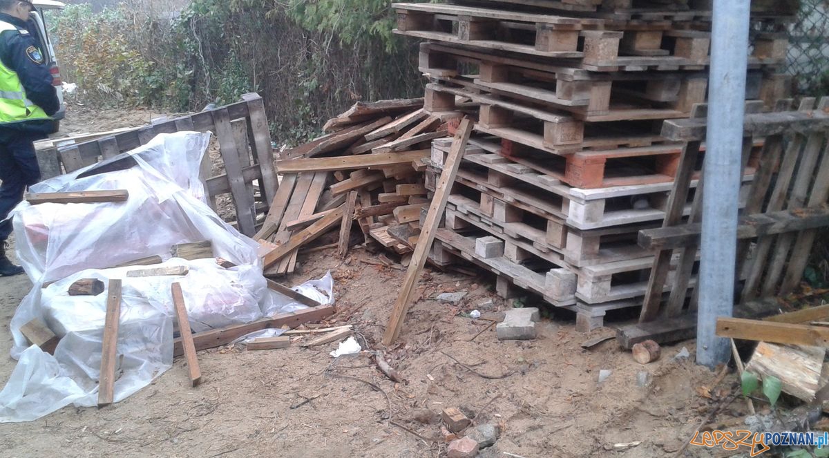 Gemela na Strzeszyńskiej Foto: Straż Miejska Gemela na Strzeszyńskiej Foto: Straż Miejska