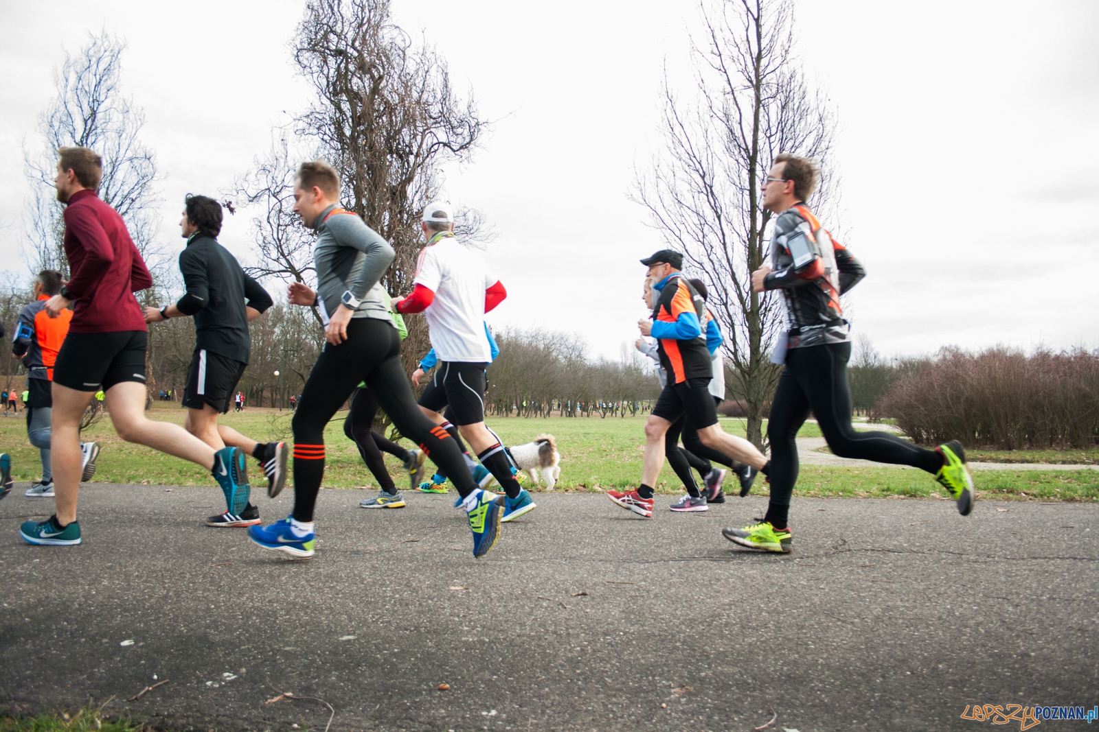 I Bieg Powstania Wielkopolskiego (27.12.2015) Cytadela Foto: © lepszyPOZNAN.pl / Karolina Kiraga I Bieg Powstania Wielkopolskiego (27.12.2015) Cytadela Foto: © lepszyPOZNAN.pl / Karolina Kiraga