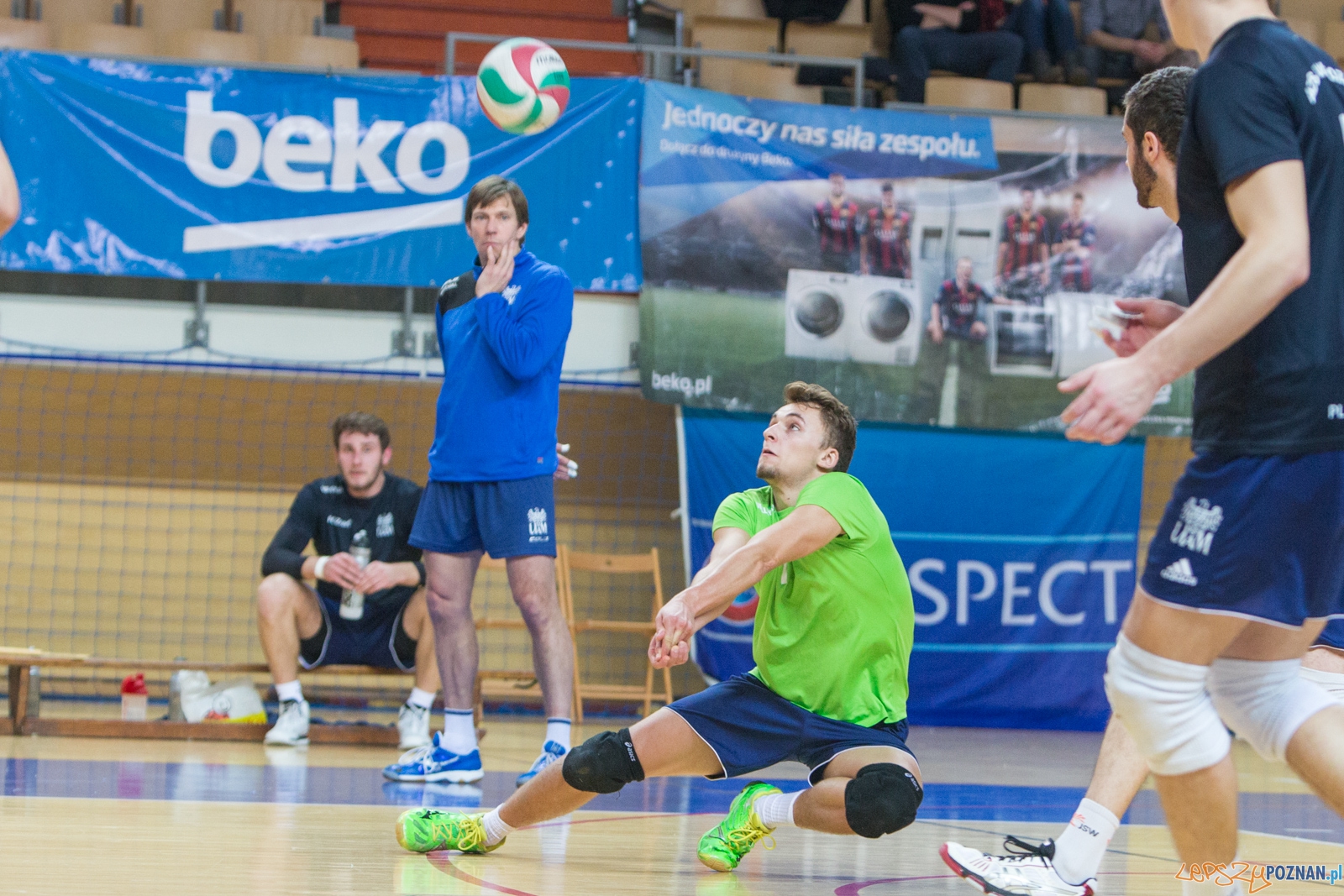 AZS UAM Poznań - KS Chełmża Foto: lepszyPOZNAN.pl / Piotr Rychter AZS UAM Poznań - KS Chełmża Foto: lepszyPOZNAN.pl / Piotr Rychter