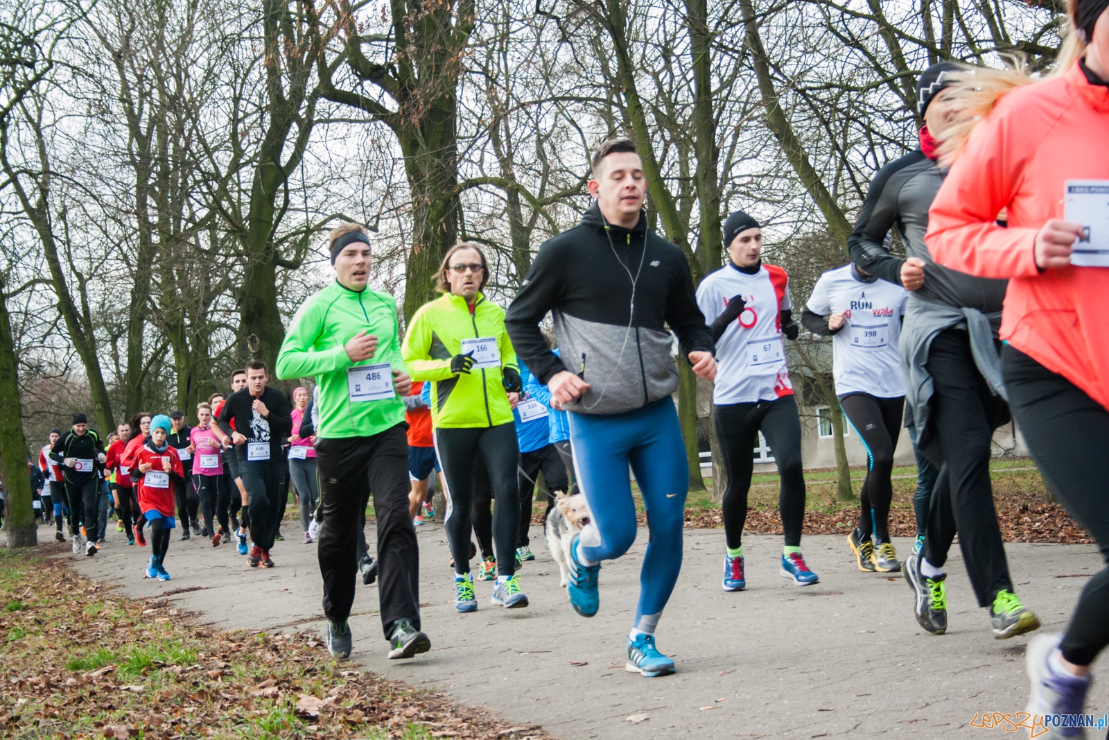 I Bieg Powstania Wielkopolskiego (27.12.2015) Cytadela Foto: © lepszyPOZNAN.pl / Karolina Kiraga I Bieg Powstania Wielkopolskiego (27.12.2015) Cytadela Foto: © lepszyPOZNAN.pl / Karolina Kiraga