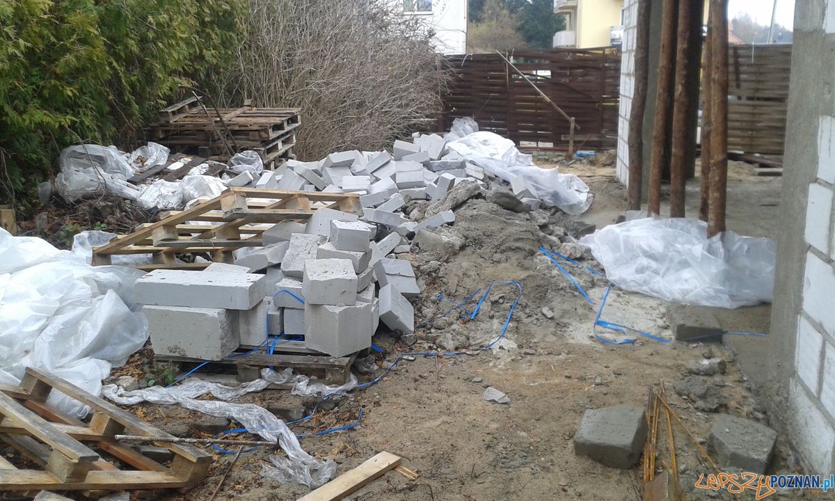 Gemela na Strzeszyńskiej Foto: Straż Miejska Gemela na Strzeszyńskiej Foto: Straż Miejska