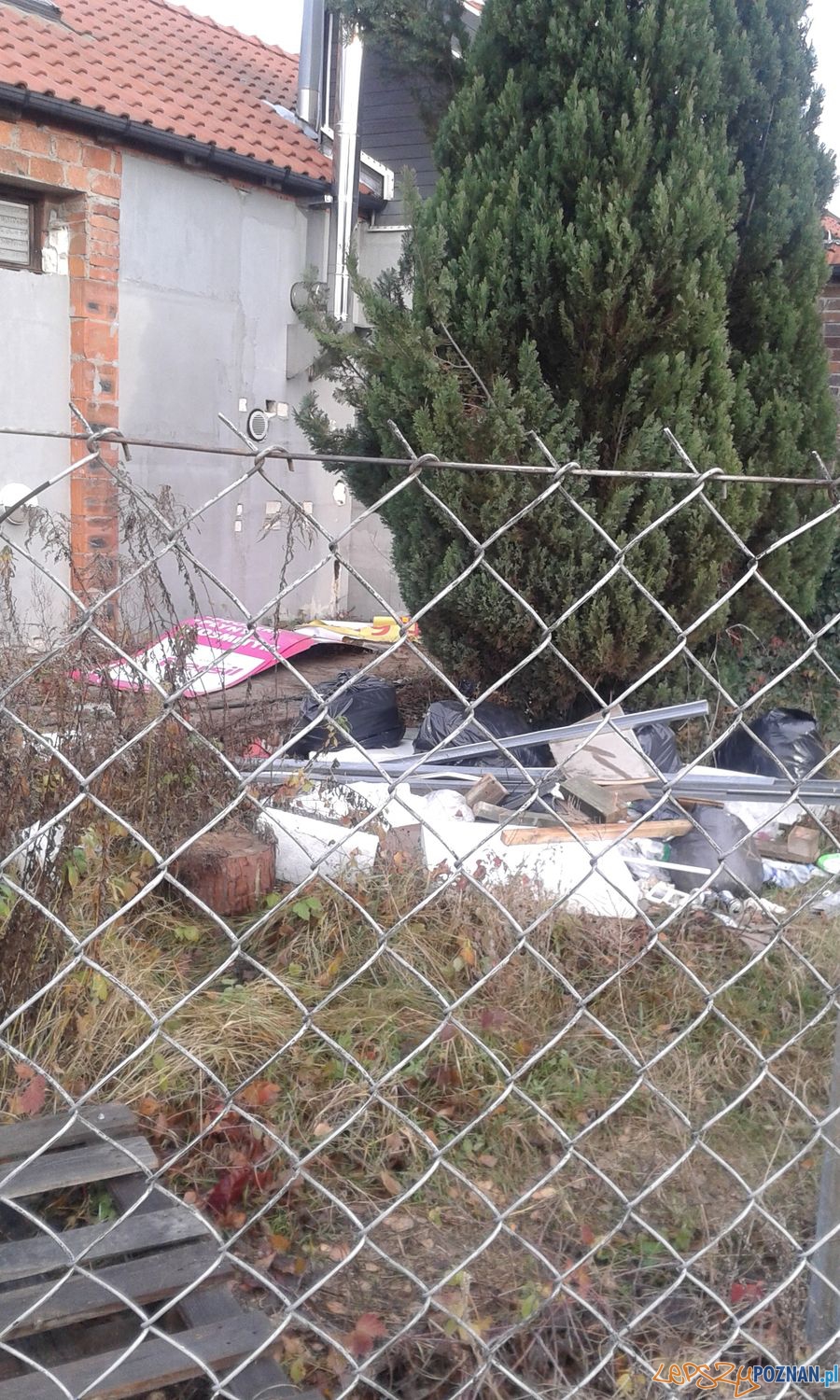 Gemela na Strzeszyńskiej Foto: Straż Miejska Gemela na Strzeszyńskiej Foto: Straż Miejska