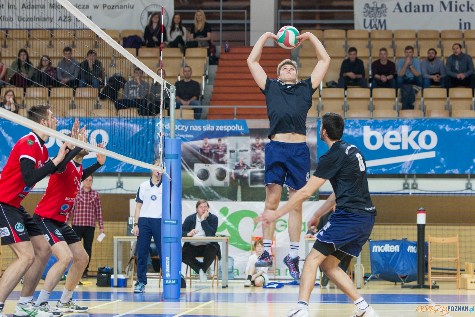 AZS UAM Poznań - KS Chełmża Foto: lepszyPOZNAN.pl / Piotr Rychter AZS UAM Poznań - KS Chełmża Foto: lepszyPOZNAN.pl / Piotr Rychter
