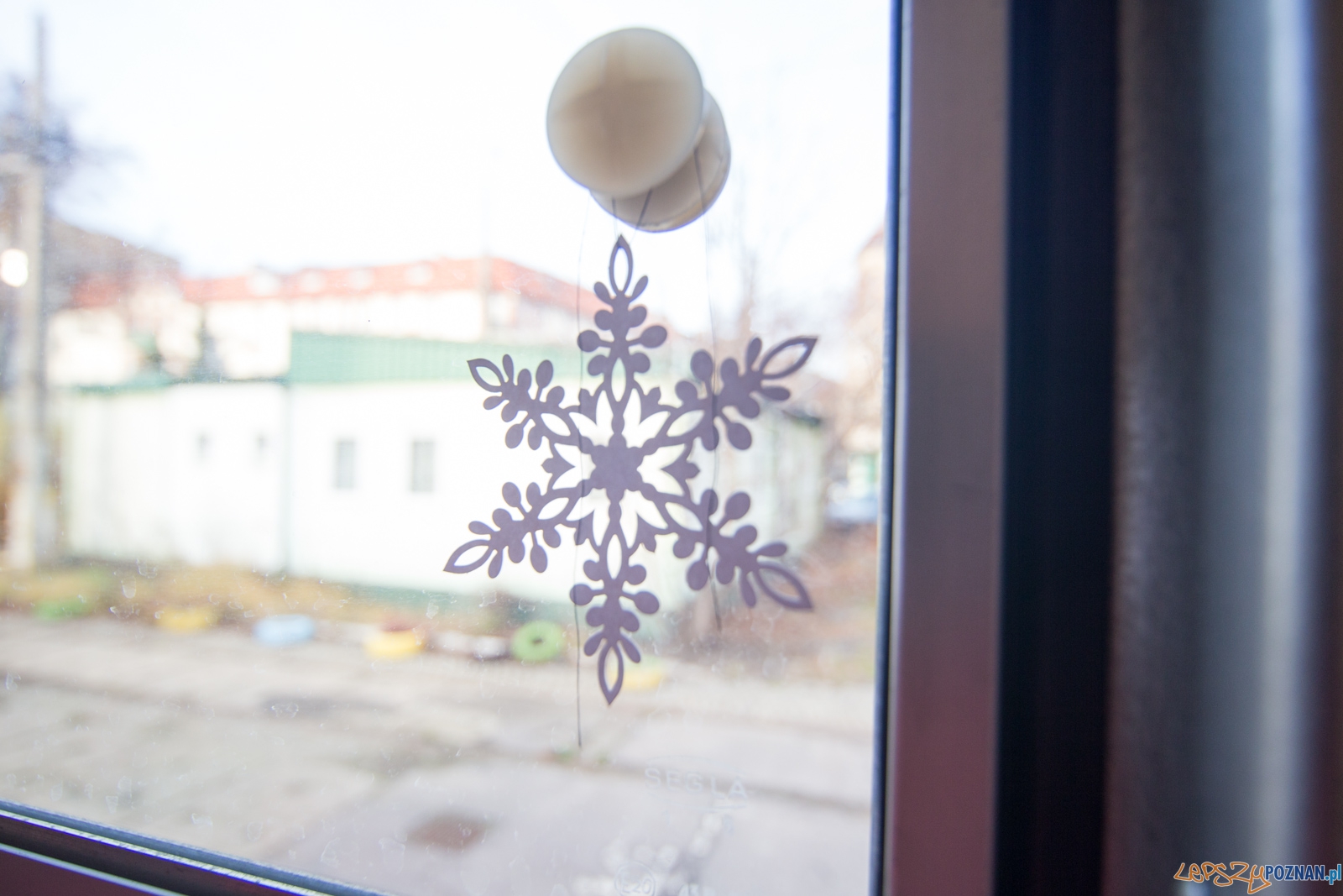 Gwiazdka na Madalinie Foto: lepszyPOZNAN.pl / Piotr Rychter Gwiazdka na Madalinie Foto: lepszyPOZNAN.pl / Piotr Rychter