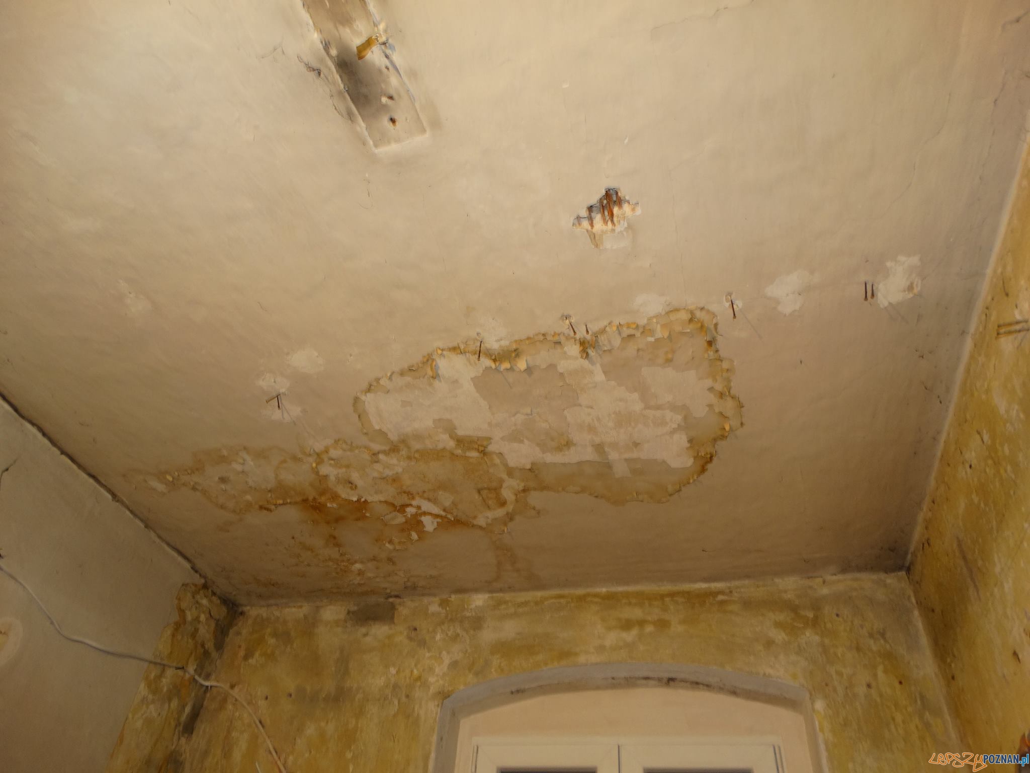 Wspomożecie tę rodzinę? Liczy się każda złotówka. Foto: siepomaga.pl Wspomożecie tę rodzinę? Liczy się każda złotówka. Foto: siepomaga.pl