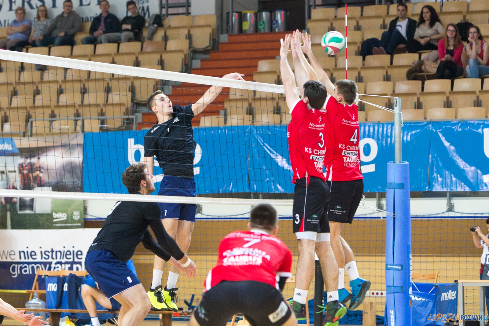 AZS UAM Poznań - KS Chełmża Foto: lepszyPOZNAN.pl / Piotr Rychter AZS UAM Poznań - KS Chełmża Foto: lepszyPOZNAN.pl / Piotr Rychter