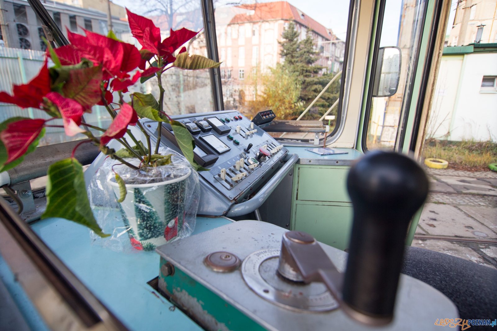 Gwiazdka na Madalinie Foto: lepszyPOZNAN.pl / Piotr Rychter Gwiazdka na Madalinie Foto: lepszyPOZNAN.pl / Piotr Rychter