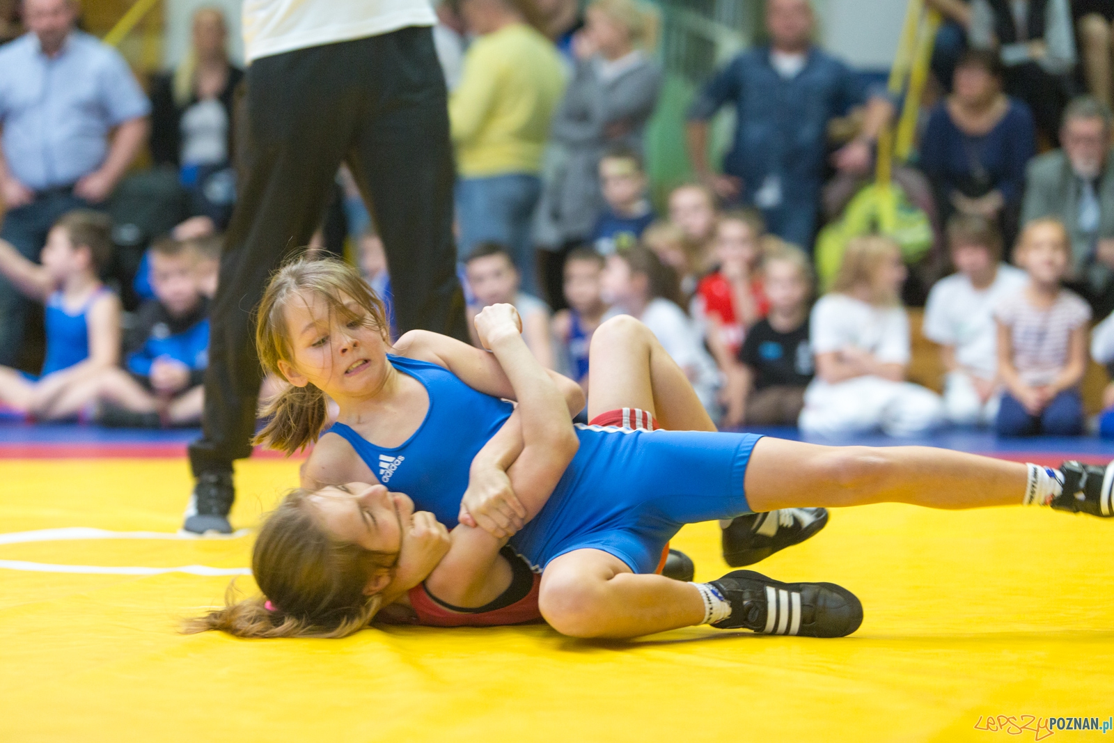 Turniej Świąteczny Zapasy z Gwiazdorem. Foto: lepszyPOZNAN.pl / Piotr Rychter Turniej Świąteczny Zapasy z Gwiazdorem. Foto: lepszyPOZNAN.pl / Piotr Rychter