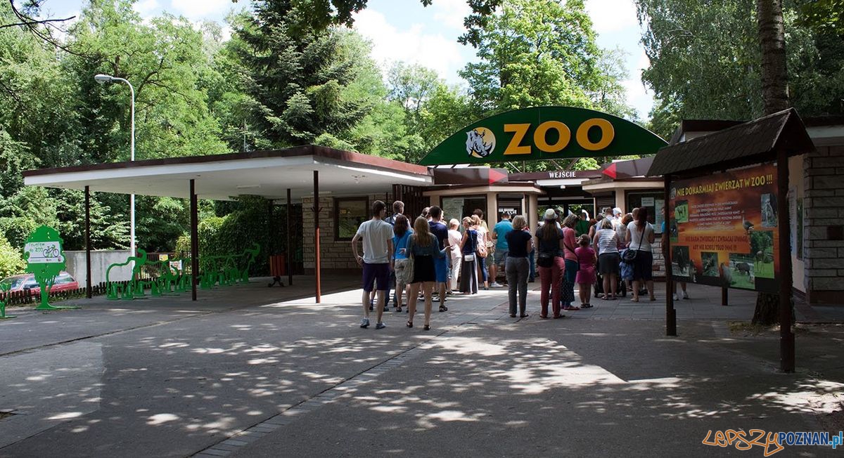 Wejście no Nowego ZOO petroniusz fp  Foto: Petroniszu/fotopolska