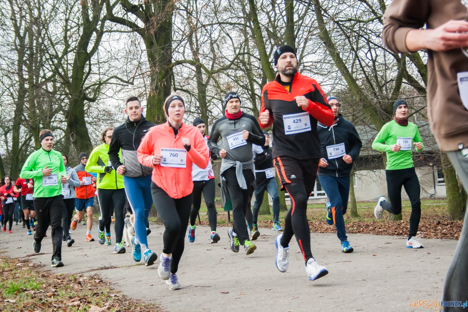 I Bieg Powstania Wielkopolskiego (27.12.2015) Cytadela Foto: © lepszyPOZNAN.pl / Karolina Kiraga I Bieg Powstania Wielkopolskiego (27.12.2015) Cytadela Foto: © lepszyPOZNAN.pl / Karolina Kiraga