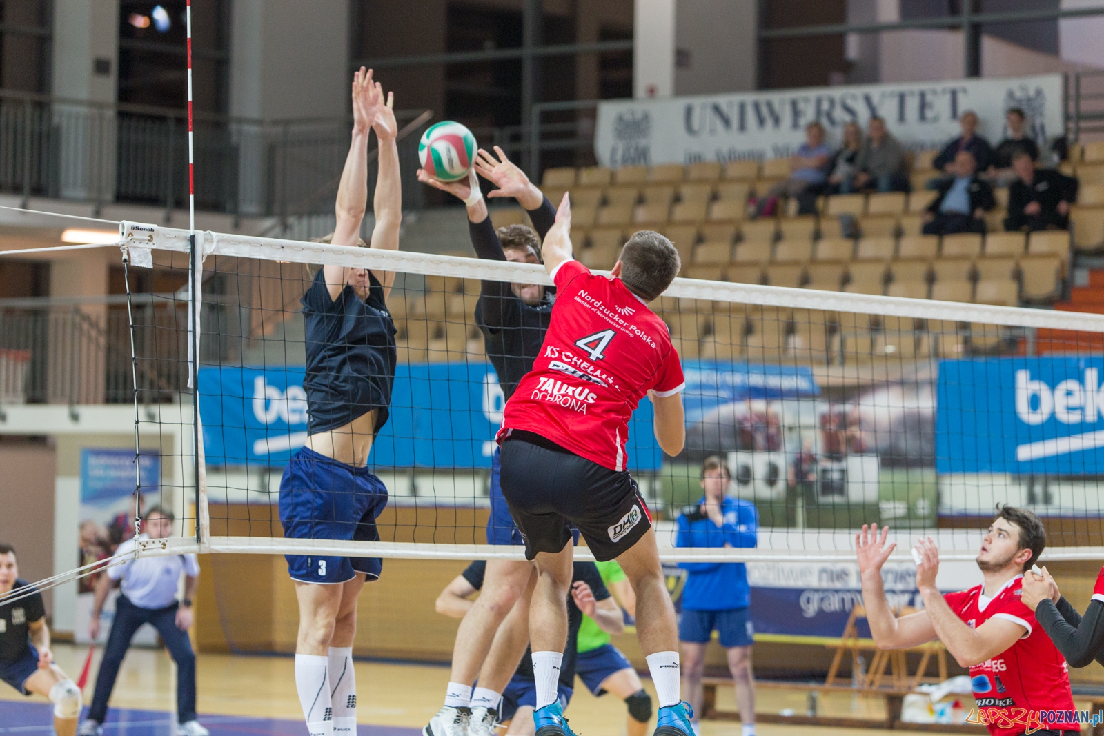AZS UAM Poznań - KS Chełmża Foto: lepszyPOZNAN.pl / Piotr Rychter AZS UAM Poznań - KS Chełmża Foto: lepszyPOZNAN.pl / Piotr Rychter