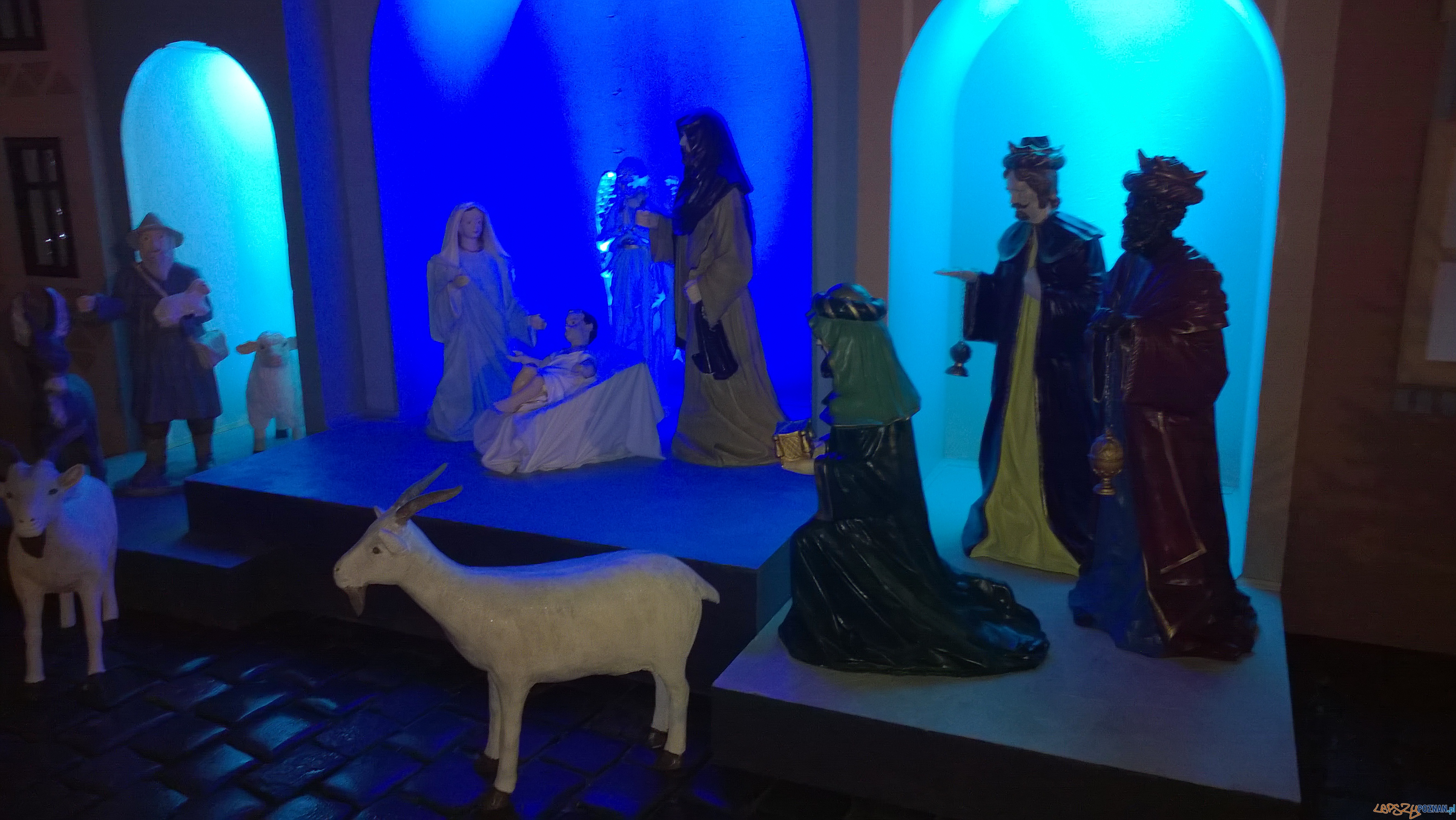 Żłóbek na Starym Rynku Foto: lepszyPOZNAN.pl / TD Żłóbek na Starym Rynku Foto: lepszyPOZNAN.pl / TD