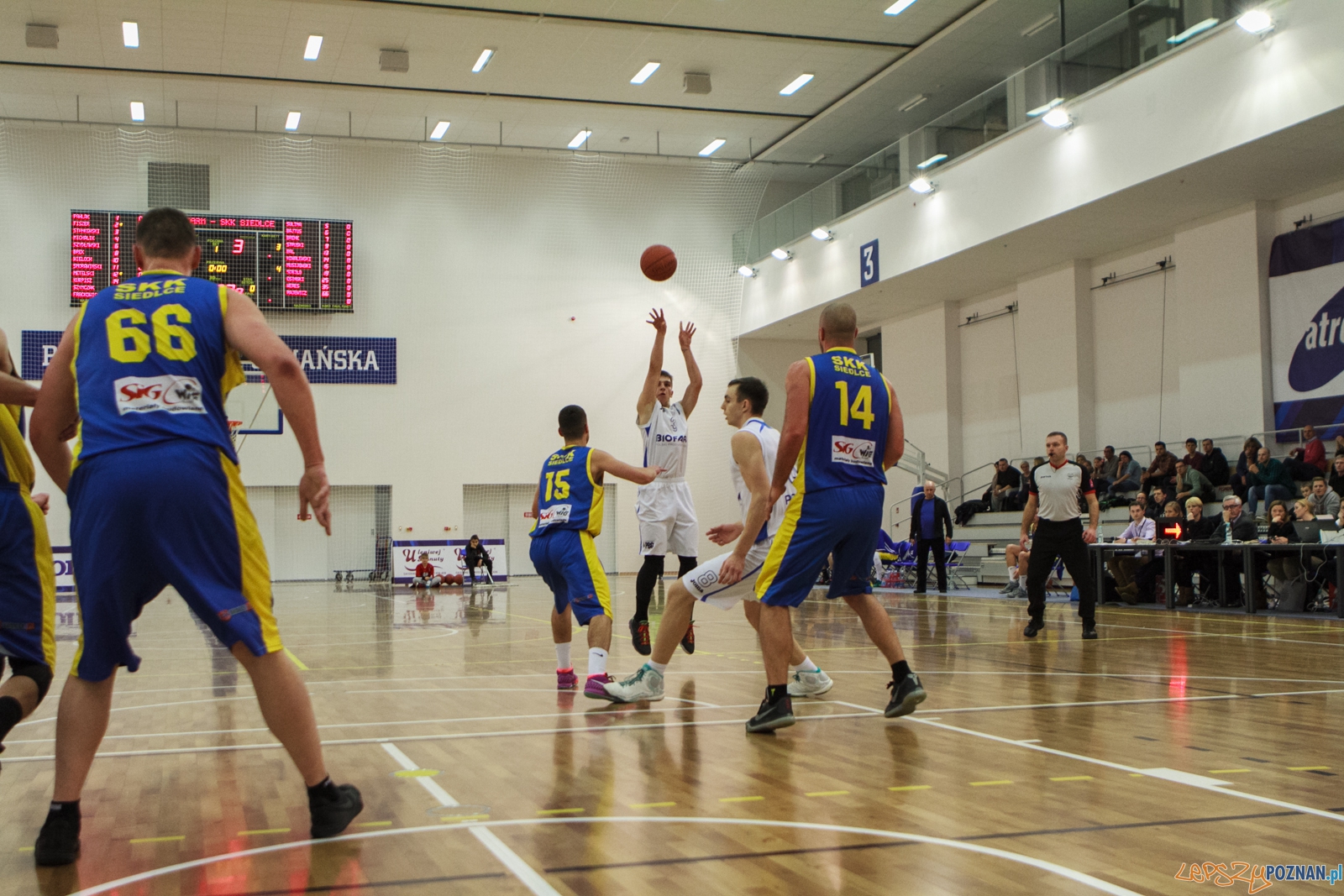Biofarm Basket Poznań – SKK Siedlce 81-70 (25:17, 16:13, 24:1 Foto: LepszyPOZNAN.pl / Paweł Rychter Biofarm Basket Poznań – SKK Siedlce 81-70 (25:17, 16:13, 24:1 Foto: LepszyPOZNAN.pl / Paweł Rychter