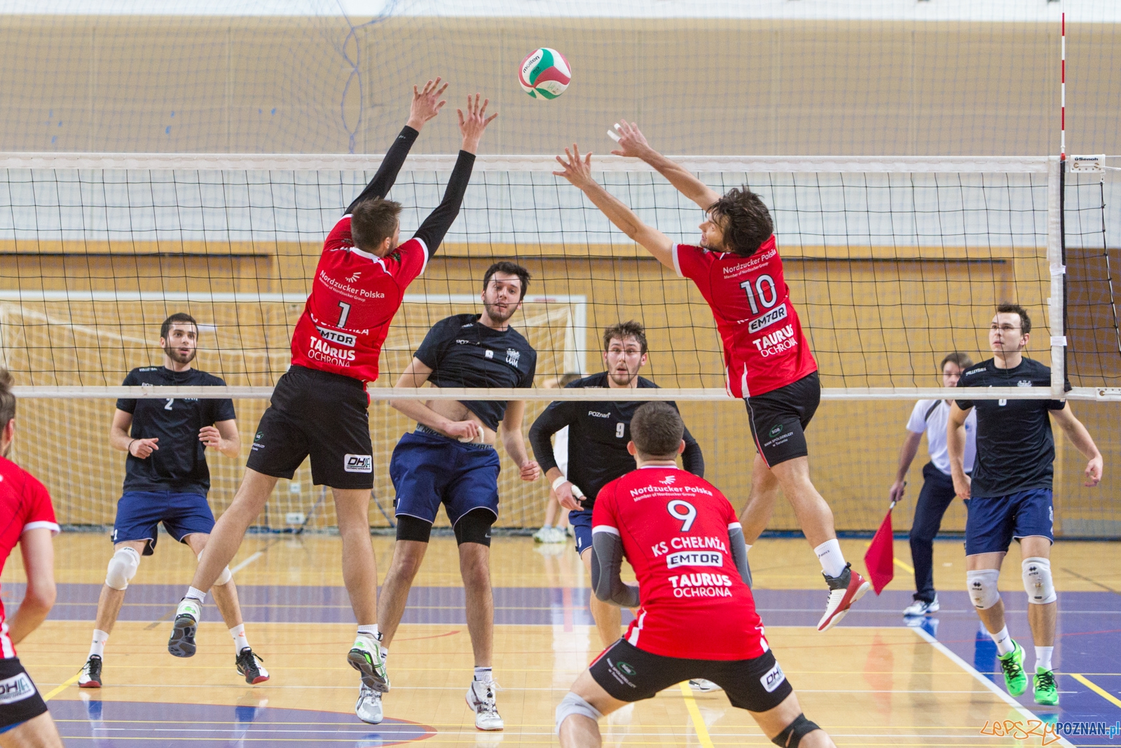 AZS UAM Poznań - KS Chełmża Foto: lepszyPOZNAN.pl / Piotr Rychter AZS UAM Poznań - KS Chełmża Foto: lepszyPOZNAN.pl / Piotr Rychter