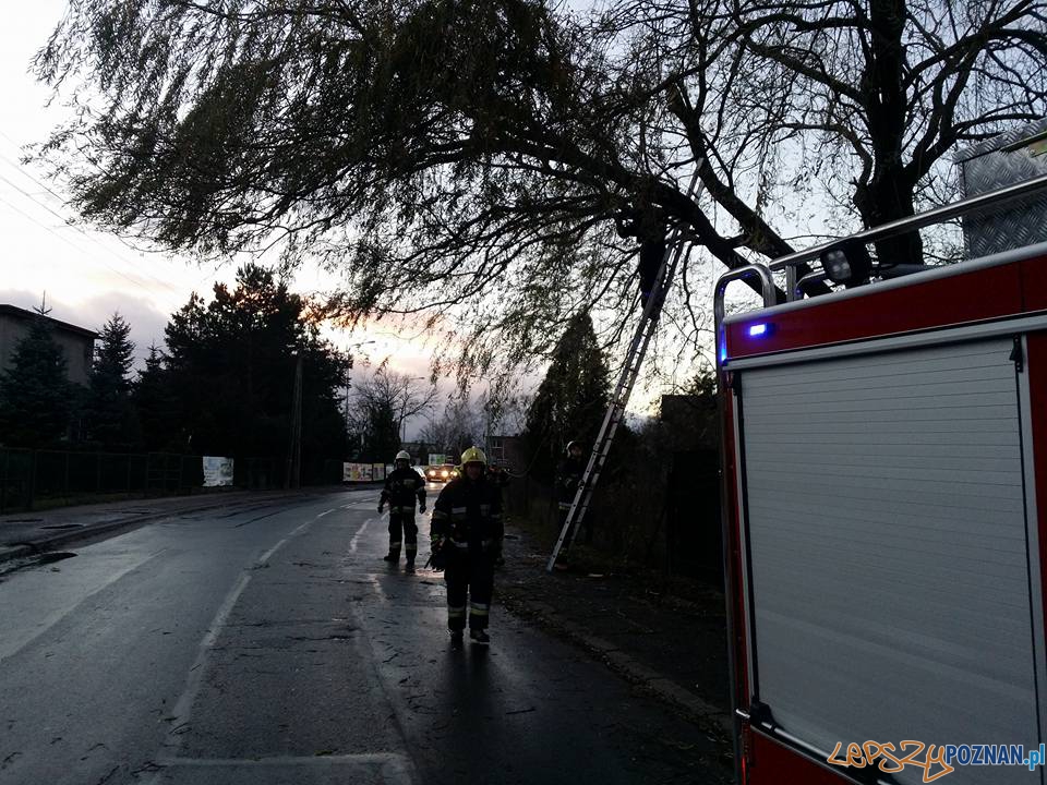 Złamany konar w Luboniu Foto: OSP Luboń Złamany konar w Luboniu Foto: OSP Luboń