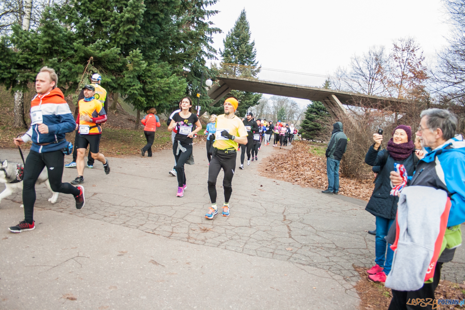 I Bieg Powstania Wielkopolskiego (27.12.2015) Cytadela Foto: © lepszyPOZNAN.pl / Karolina Kiraga I Bieg Powstania Wielkopolskiego (27.12.2015) Cytadela Foto: © lepszyPOZNAN.pl / Karolina Kiraga