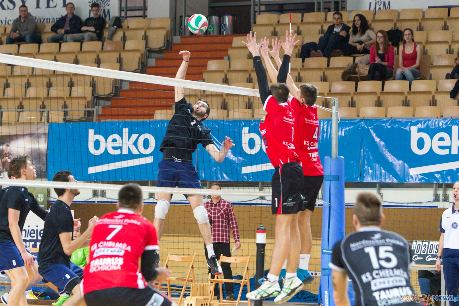 AZS UAM Poznań - KS Chełmża Foto: lepszyPOZNAN.pl / Piotr Rychter AZS UAM Poznań - KS Chełmża Foto: lepszyPOZNAN.pl / Piotr Rychter