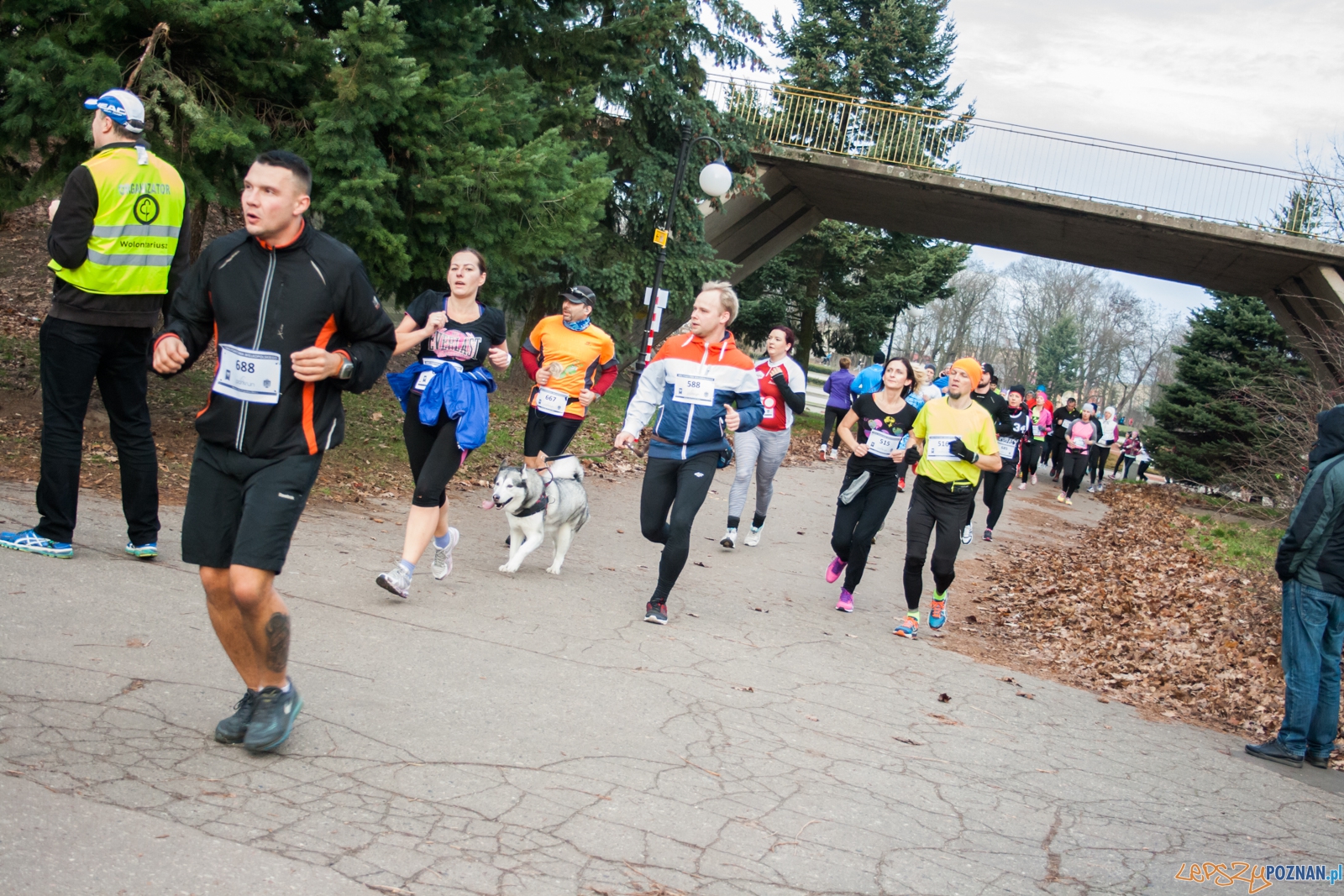 I Bieg Powstania Wielkopolskiego (27.12.2015) Cytadela Foto: © lepszyPOZNAN.pl / Karolina Kiraga I Bieg Powstania Wielkopolskiego (27.12.2015) Cytadela Foto: © lepszyPOZNAN.pl / Karolina Kiraga