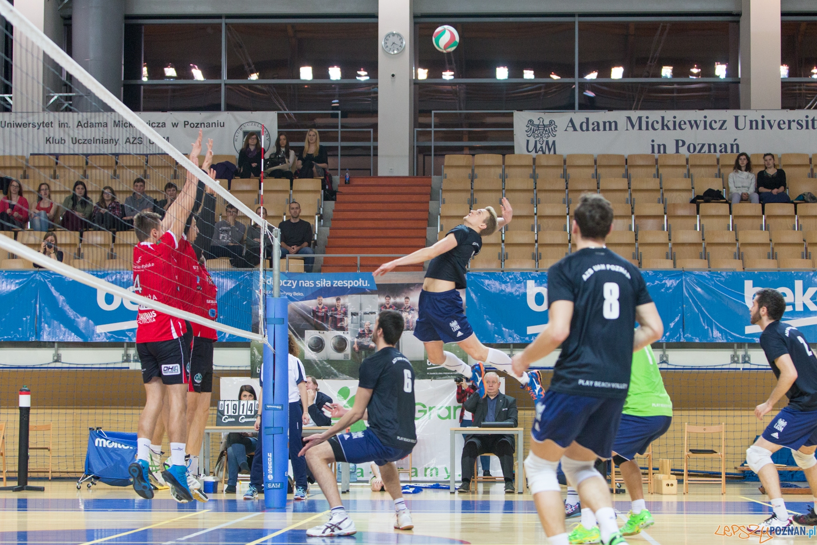 AZS UAM Poznań - KS Chełmża Foto: lepszyPOZNAN.pl / Piotr Rychter AZS UAM Poznań - KS Chełmża Foto: lepszyPOZNAN.pl / Piotr Rychter