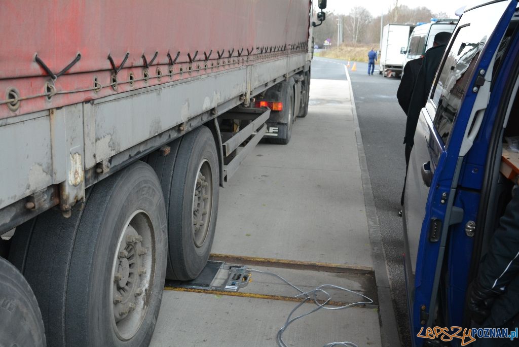 Ważenie pojazdów Foto: UMP Ważenie pojazdów Foto: UMP