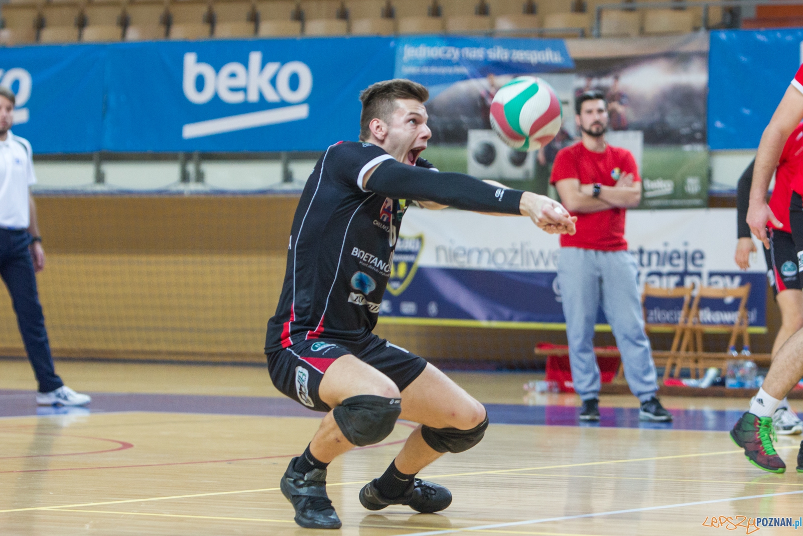 AZS UAM Poznań - KS Chełmża Foto: lepszyPOZNAN.pl / Piotr Rychter AZS UAM Poznań - KS Chełmża Foto: lepszyPOZNAN.pl / Piotr Rychter