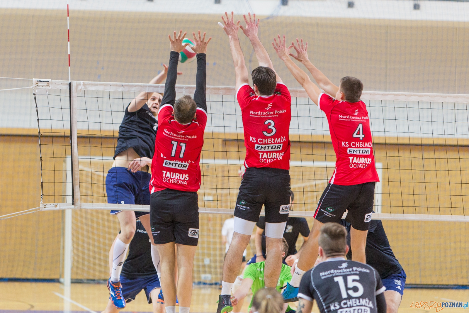 AZS UAM Poznań - KS Chełmża Foto: lepszyPOZNAN.pl / Piotr Rychter AZS UAM Poznań - KS Chełmża Foto: lepszyPOZNAN.pl / Piotr Rychter