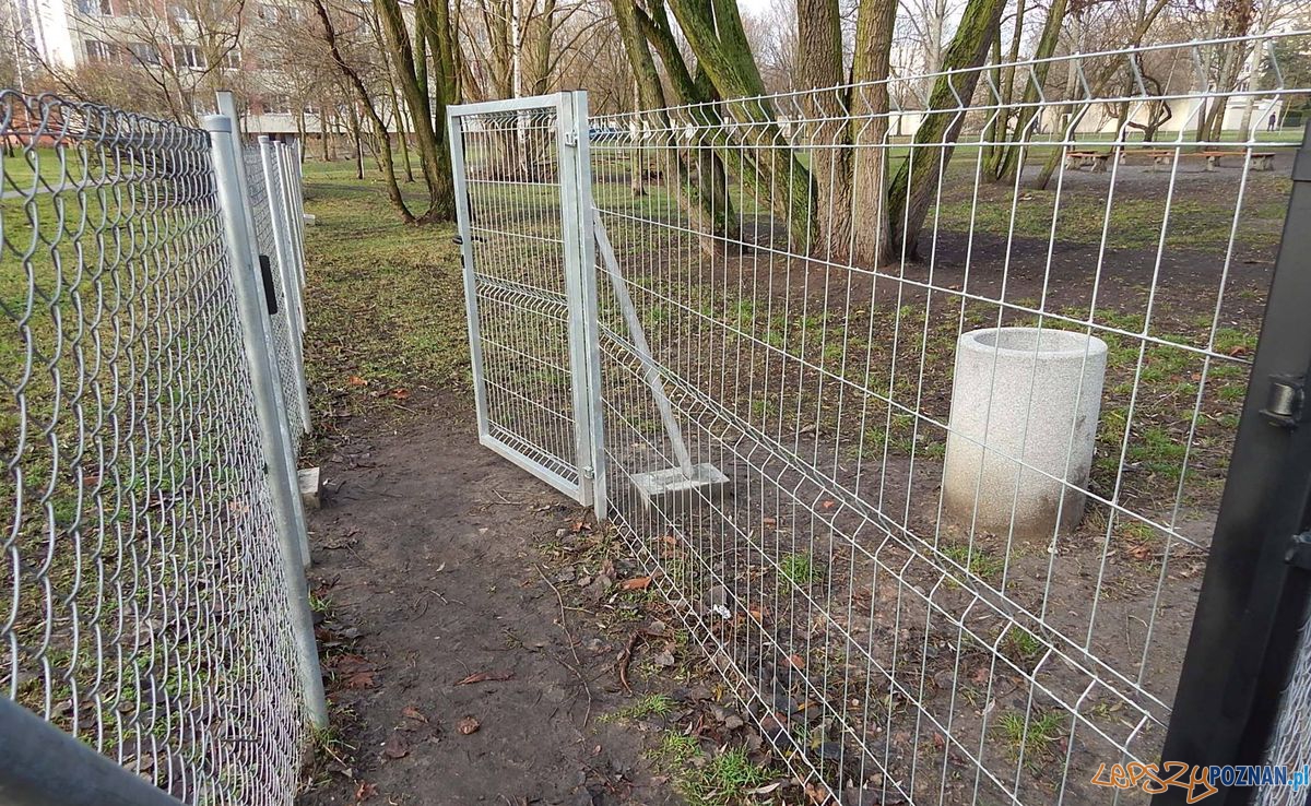 Wybiegi dla psów Foto: Rada Osiedla Rataje Wybiegi dla psów Foto: Rada Osiedla Rataje