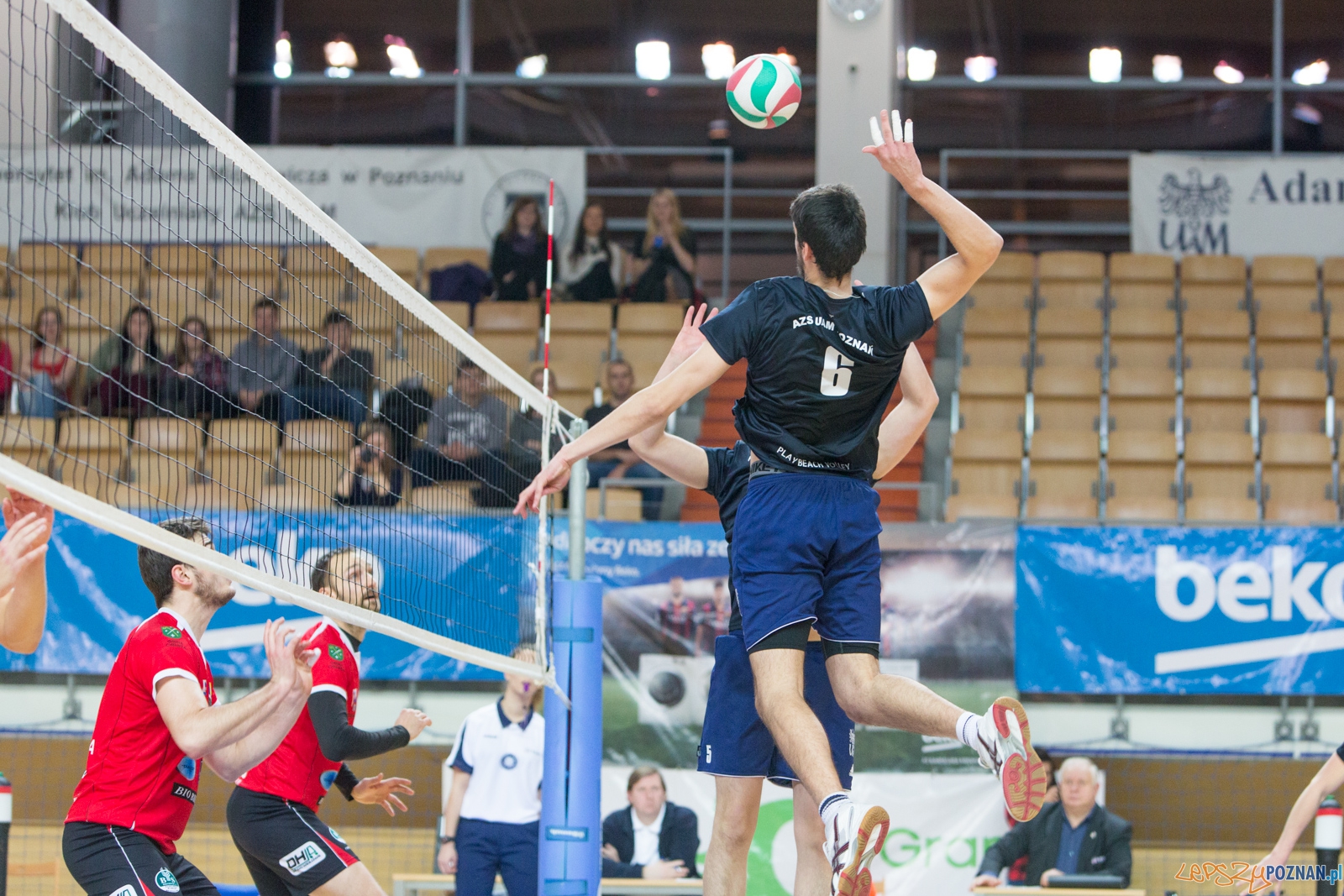 AZS UAM Poznań - KS Chełmża Foto: lepszyPOZNAN.pl / Piotr Rychter AZS UAM Poznań - KS Chełmża Foto: lepszyPOZNAN.pl / Piotr Rychter