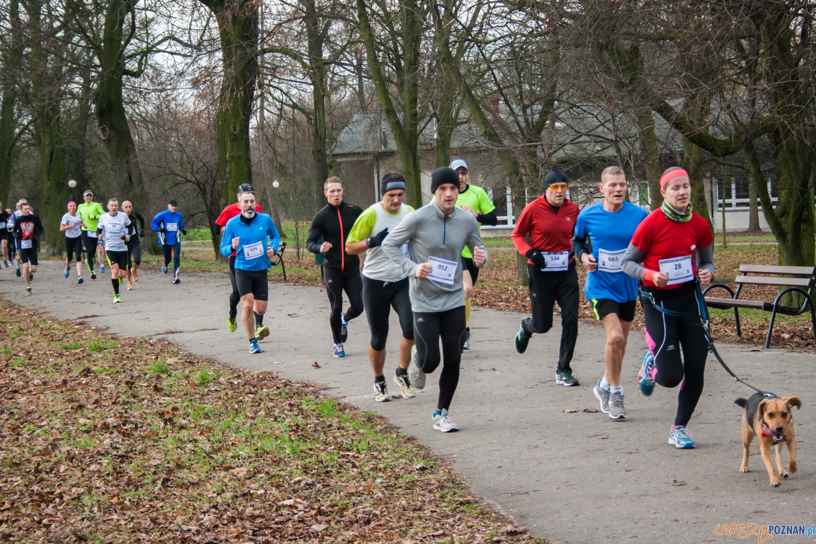 I Bieg Powstania Wielkopolskiego (27.12.2015) Cytadela Foto: © lepszyPOZNAN.pl / Karolina Kiraga I Bieg Powstania Wielkopolskiego (27.12.2015) Cytadela Foto: © lepszyPOZNAN.pl / Karolina Kiraga