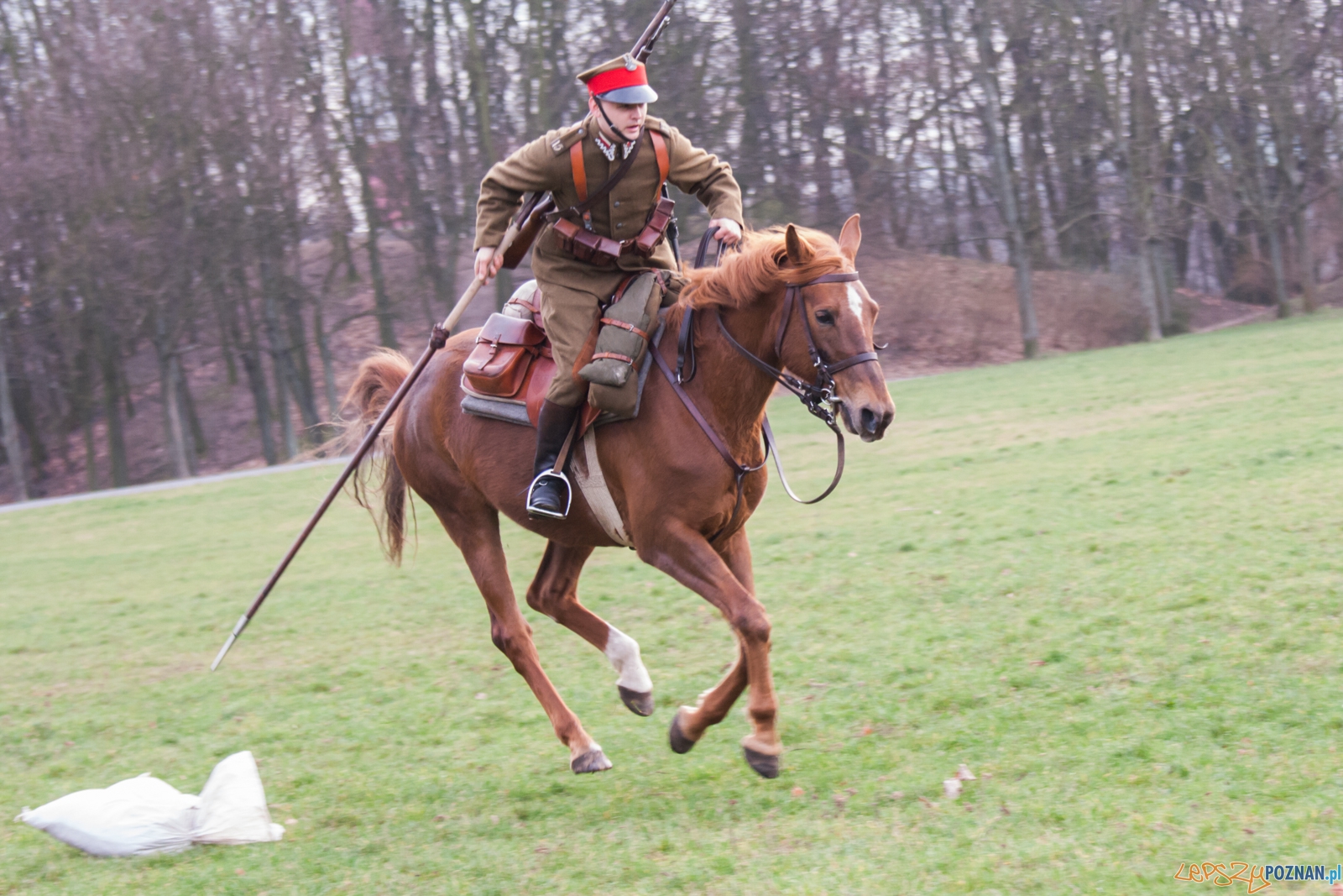 I Bieg Powstania Wielkopolskiego (27.12.2015) Cytadela Foto: © lepszyPOZNAN.pl / Karolina Kiraga I Bieg Powstania Wielkopolskiego (27.12.2015) Cytadela Foto: © lepszyPOZNAN.pl / Karolina Kiraga