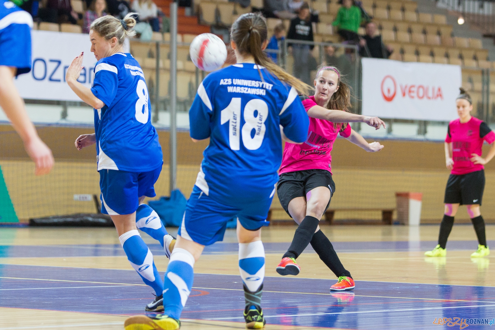 Futsal: AZS UAM Poznań – AZS Uniwersytet Warszawski Foto: lepszyPOZNAN.pl / Piotr Rychter Futsal: AZS UAM Poznań – AZS Uniwersytet Warszawski Foto: lepszyPOZNAN.pl / Piotr Rychter