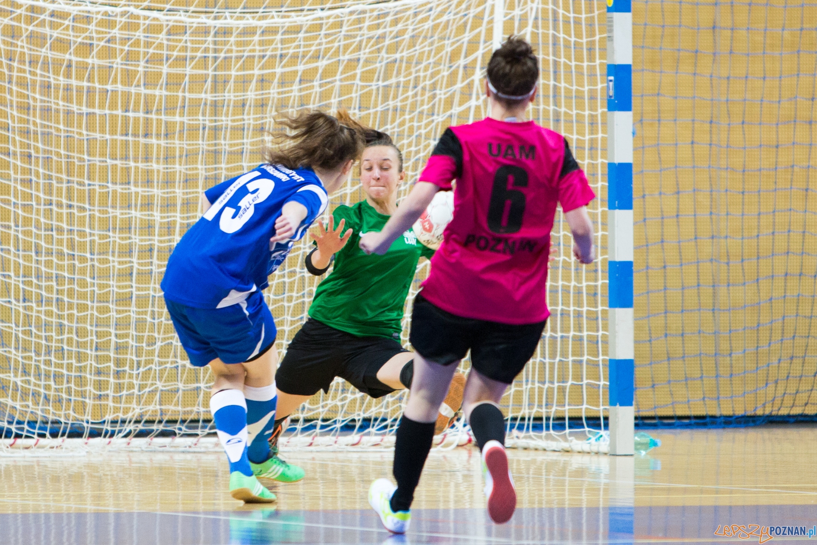 Futsal: AZS UAM Poznań – AZS Uniwersytet Warszawski Foto: lepszyPOZNAN.pl / Piotr Rychter Futsal: AZS UAM Poznań – AZS Uniwersytet Warszawski Foto: lepszyPOZNAN.pl / Piotr Rychter