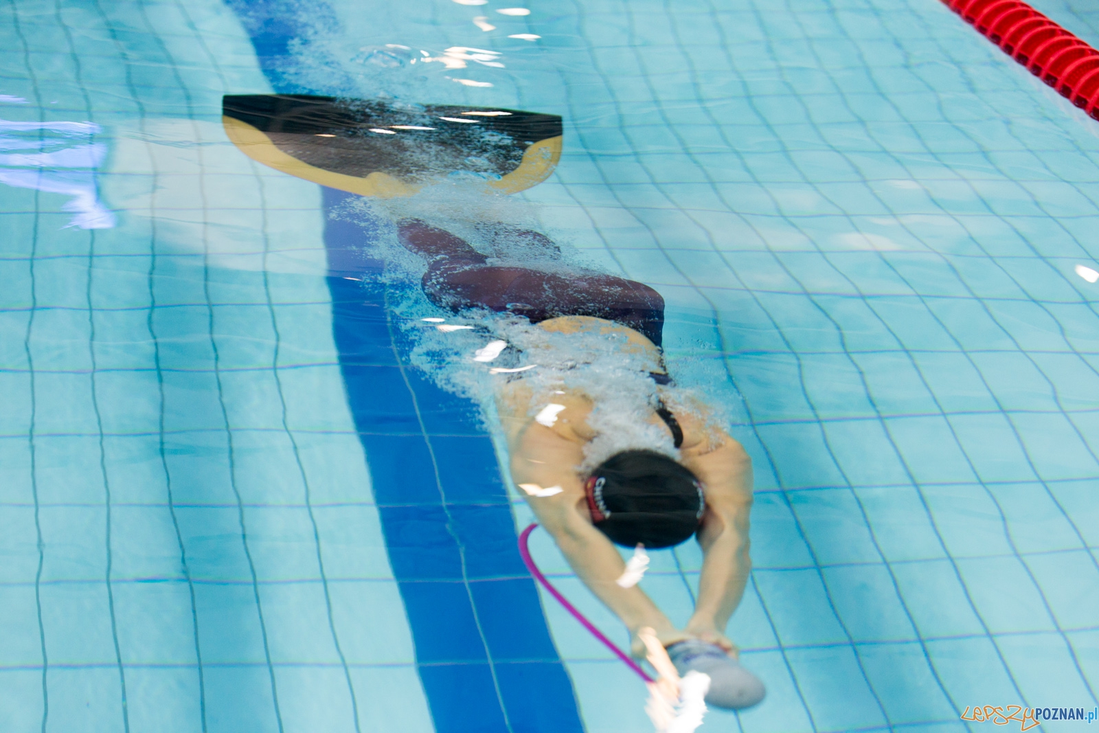 Puchar Świata Seniorów i Junioró w Pletwonurkowaniu Foto: lepszyPOZNAN.pl / Piotr Rychter Puchar Świata Seniorów i Junioró w Pletwonurkowaniu Foto: lepszyPOZNAN.pl / Piotr Rychter