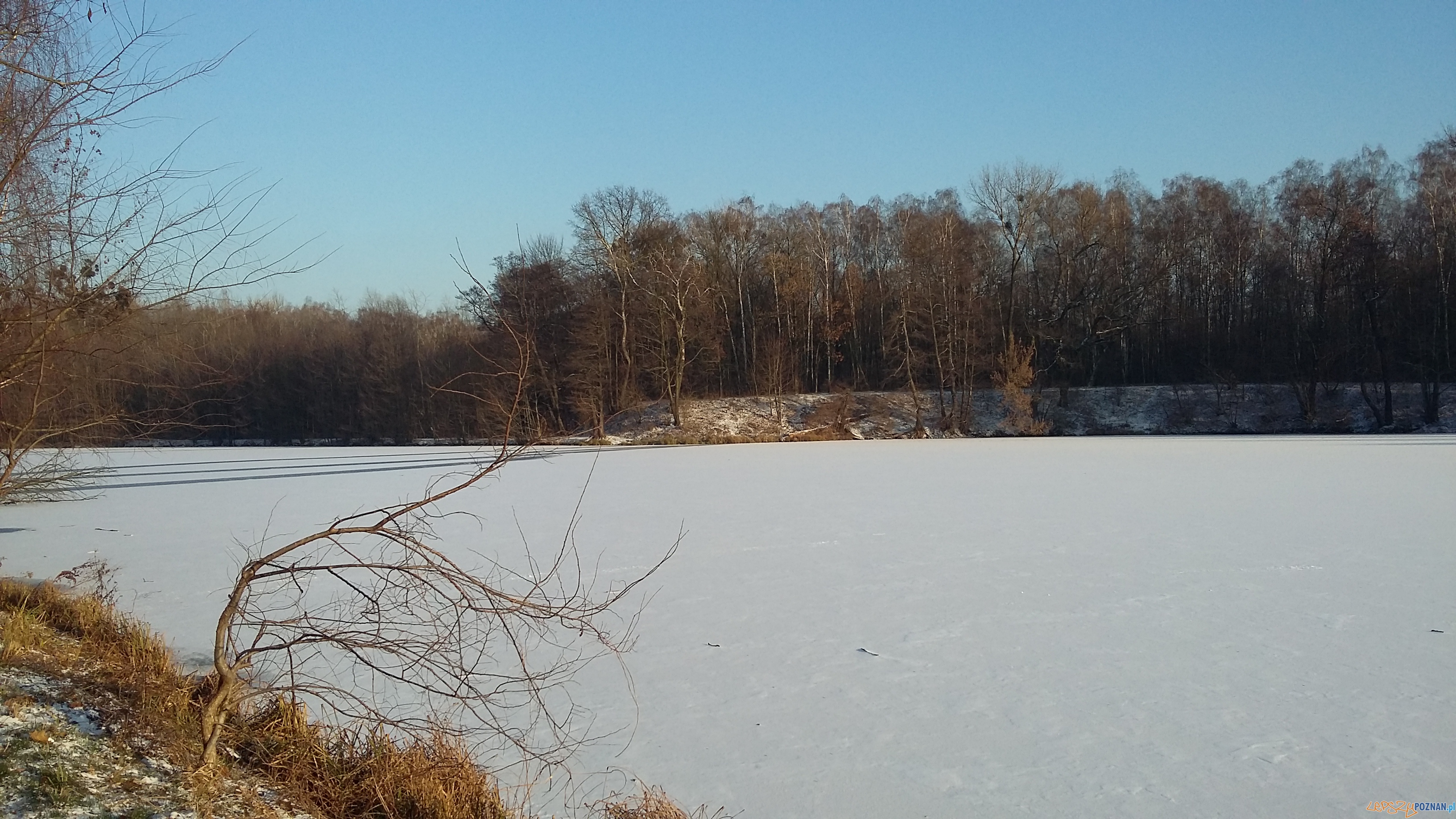 Szybka migawka - niedzielny spacer Foto: lepszyPOZNAN Szybka migawka - niedzielny spacer Foto: lepszyPOZNAN