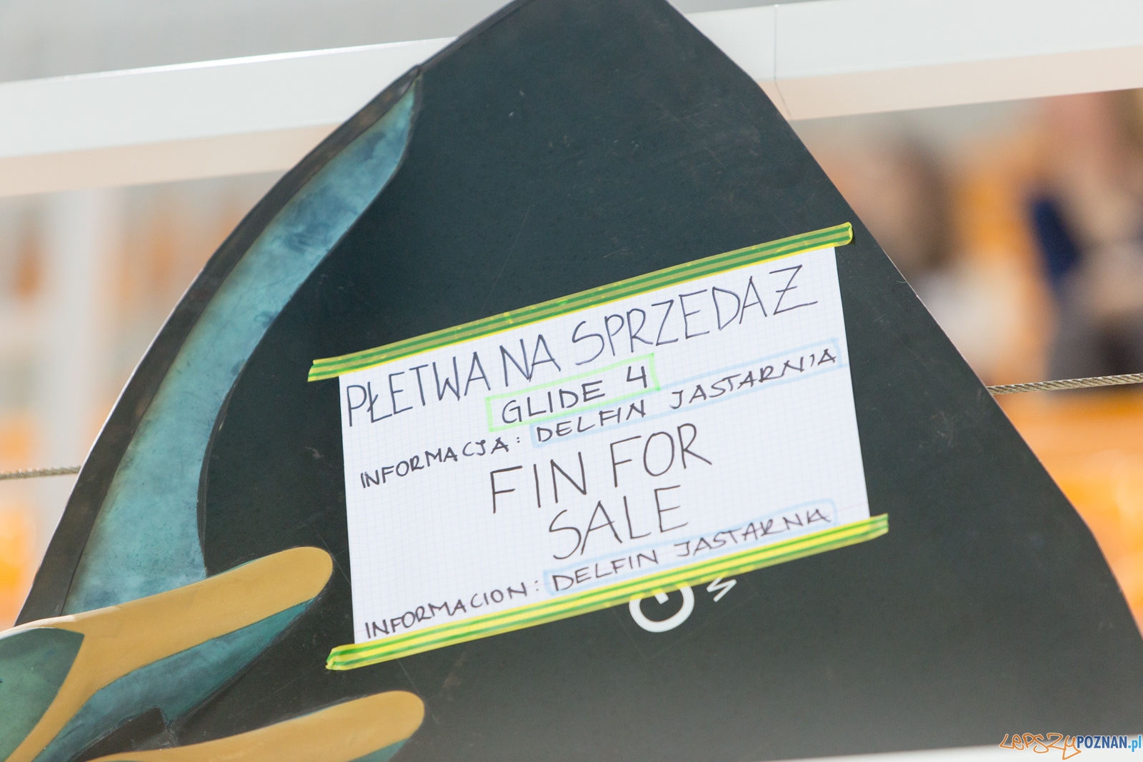 Puchar Świata Seniorów i Junioró w Pletwonurkowaniu Foto: lepszyPOZNAN.pl / Piotr Rychter Puchar Świata Seniorów i Junioró w Pletwonurkowaniu Foto: lepszyPOZNAN.pl / Piotr Rychter