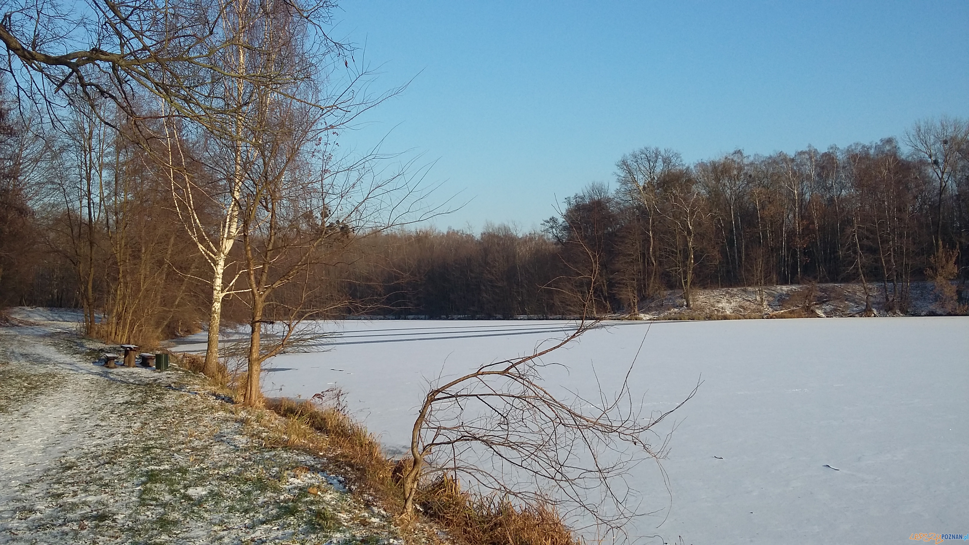 Szybka migawka - niedzielny spacer Foto: lepszyPOZNAN Szybka migawka - niedzielny spacer Foto: lepszyPOZNAN