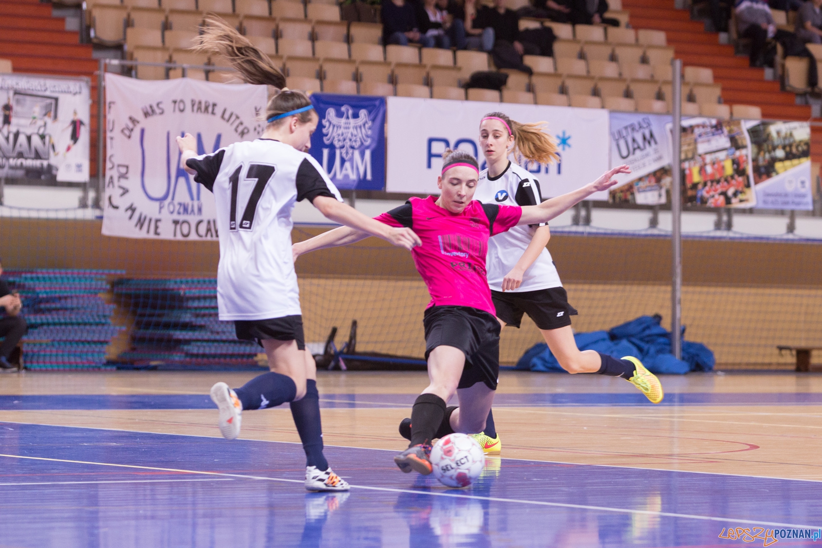 AZS Uam Poznań - Viking Aleksandrów Kujawski Foto: lepszyPOZNAN.pl / Piotr Rychter AZS Uam Poznań - Viking Aleksandrów Kujawski Foto: lepszyPOZNAN.pl / Piotr Rychter