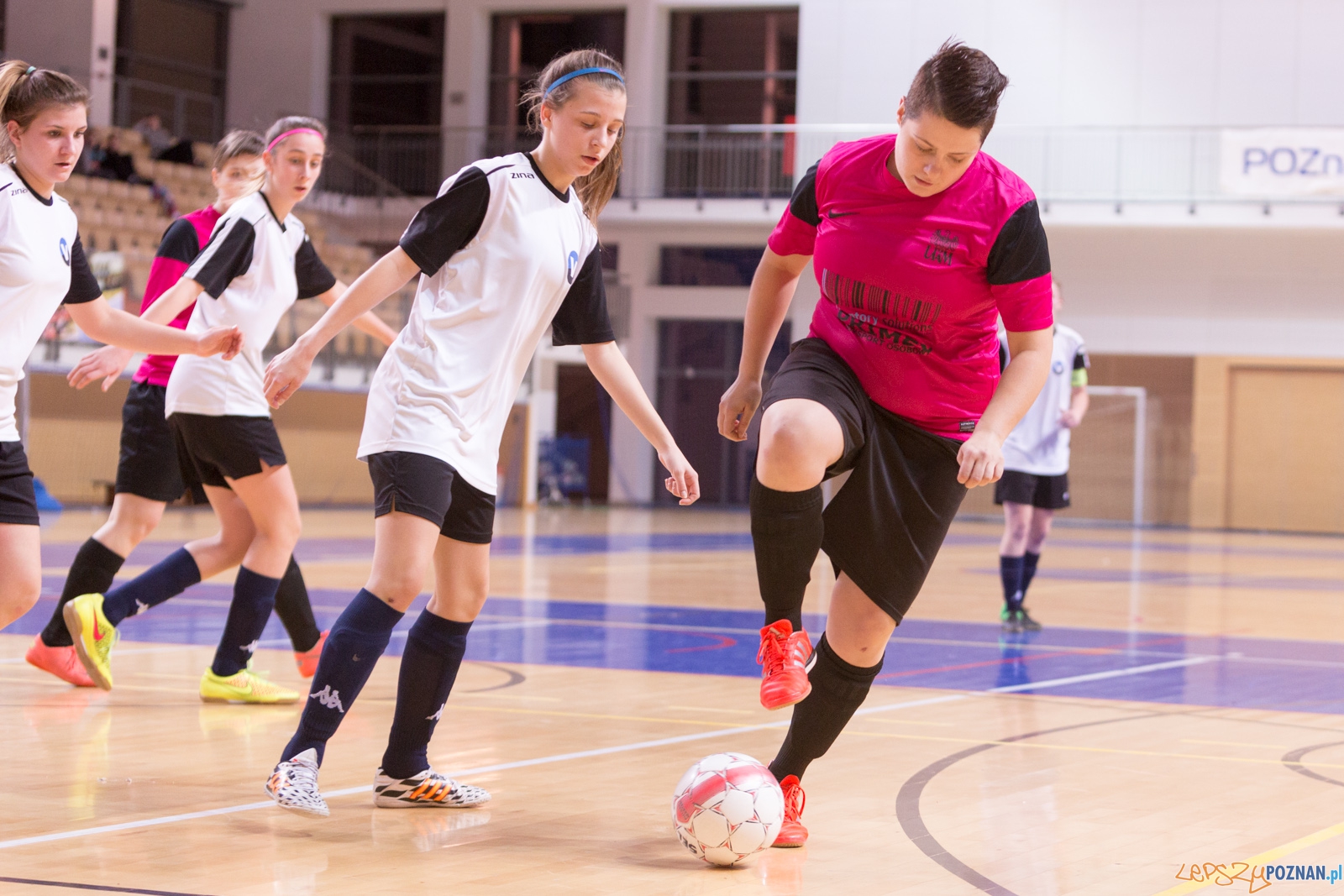 AZS Uam Poznań - Viking Aleksandrów Kujawski Foto: lepszyPOZNAN.pl / Piotr Rychter AZS Uam Poznań - Viking Aleksandrów Kujawski Foto: lepszyPOZNAN.pl / Piotr Rychter