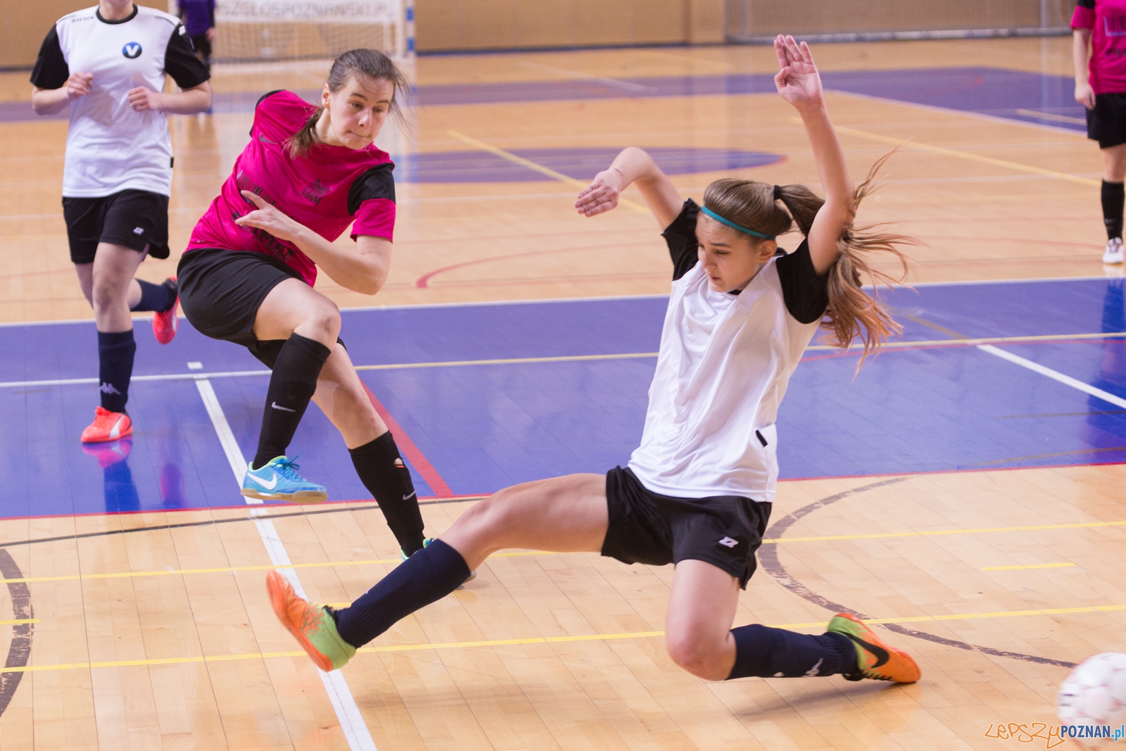 AZS Uam Poznań - Viking Aleksandrów Kujawski Foto: lepszyPOZNAN.pl / Piotr Rychter AZS Uam Poznań - Viking Aleksandrów Kujawski Foto: lepszyPOZNAN.pl / Piotr Rychter