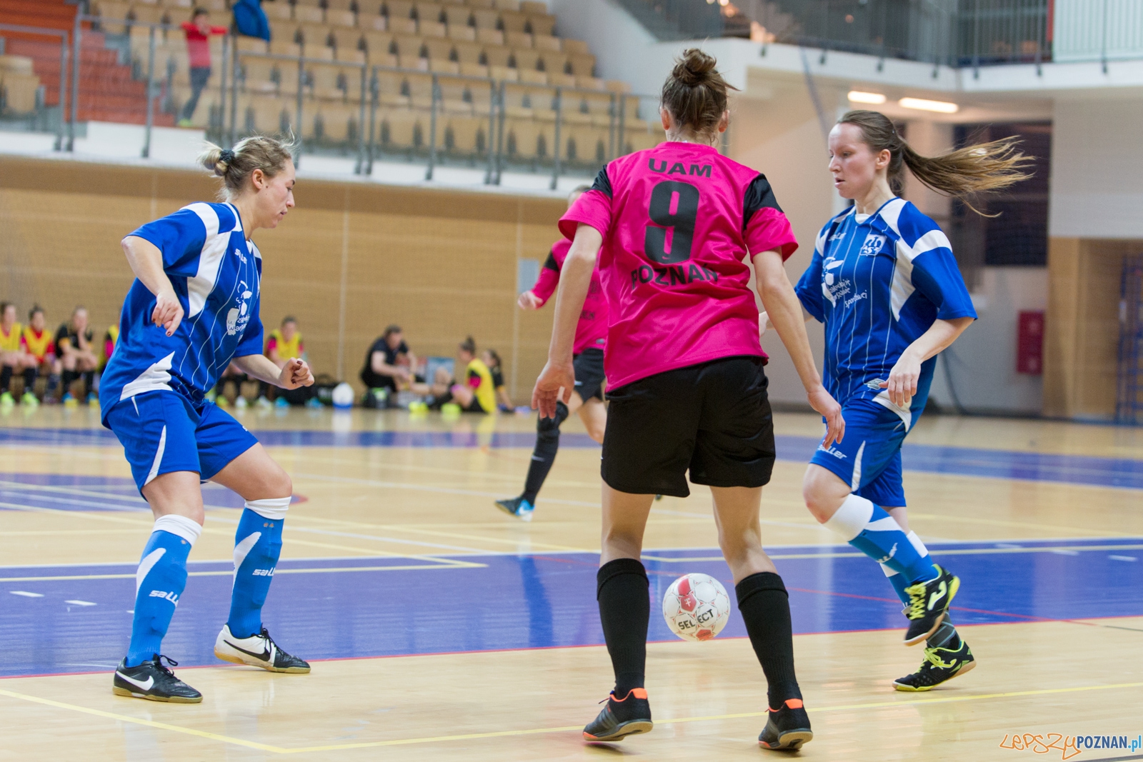Futsal: AZS UAM Poznań – AZS Uniwersytet Warszawski Foto: lepszyPOZNAN.pl / Piotr Rychter Futsal: AZS UAM Poznań – AZS Uniwersytet Warszawski Foto: lepszyPOZNAN.pl / Piotr Rychter