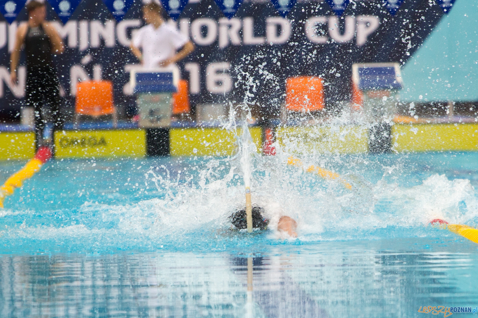 Puchar Świata Seniorów i Junioró w Pletwonurkowaniu Foto: lepszyPOZNAN.pl / Piotr Rychter Puchar Świata Seniorów i Junioró w Pletwonurkowaniu Foto: lepszyPOZNAN.pl / Piotr Rychter