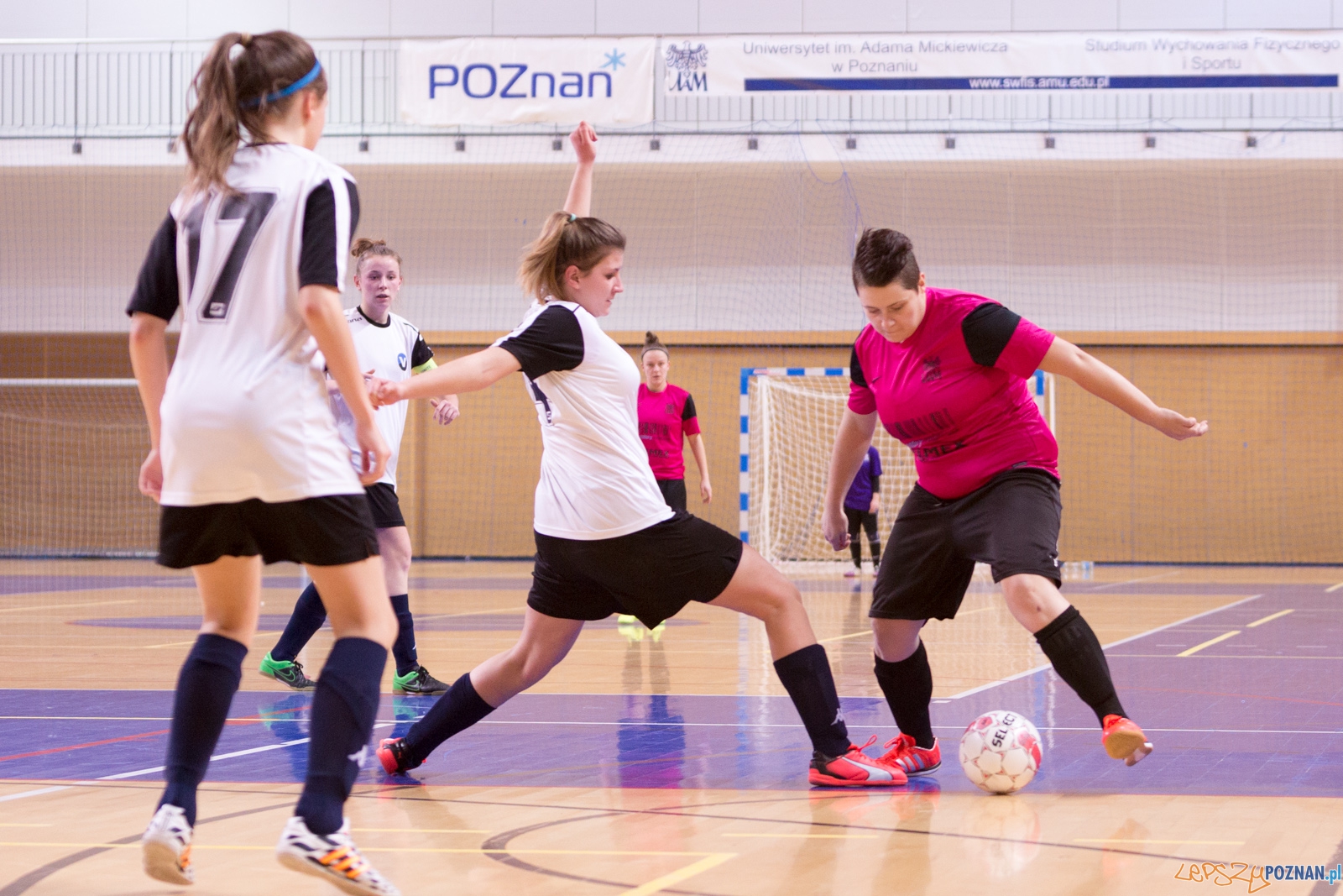 AZS Uam Poznań - Viking Aleksandrów Kujawski Foto: lepszyPOZNAN.pl / Piotr Rychter AZS Uam Poznań - Viking Aleksandrów Kujawski Foto: lepszyPOZNAN.pl / Piotr Rychter