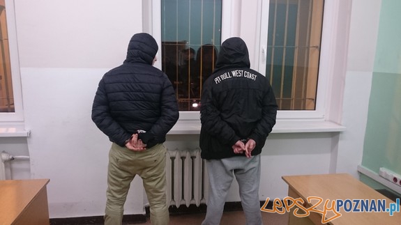 Policja zatrzymała dilera Foto: Policja zatrzymała dilera Foto: