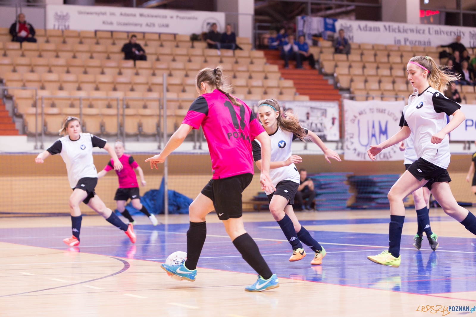 AZS Uam Poznań - Viking Aleksandrów Kujawski Foto: lepszyPOZNAN.pl / Piotr Rychter AZS Uam Poznań - Viking Aleksandrów Kujawski Foto: lepszyPOZNAN.pl / Piotr Rychter