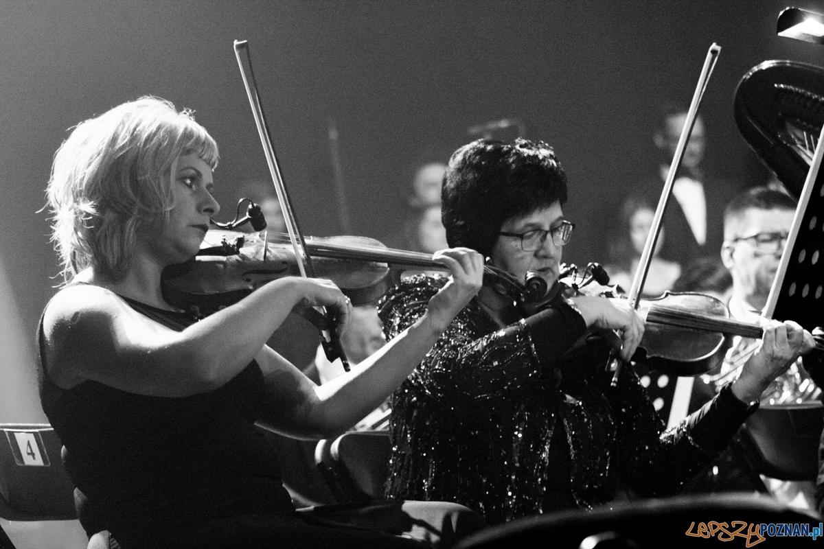 The Best of Piotr Rubik (16.01.2016) Hala Arena Foto: © lepszyPOZNAN.pl / Karolina Kiraga The Best of Piotr Rubik (16.01.2016) Hala Arena Foto: © lepszyPOZNAN.pl / Karolina Kiraga