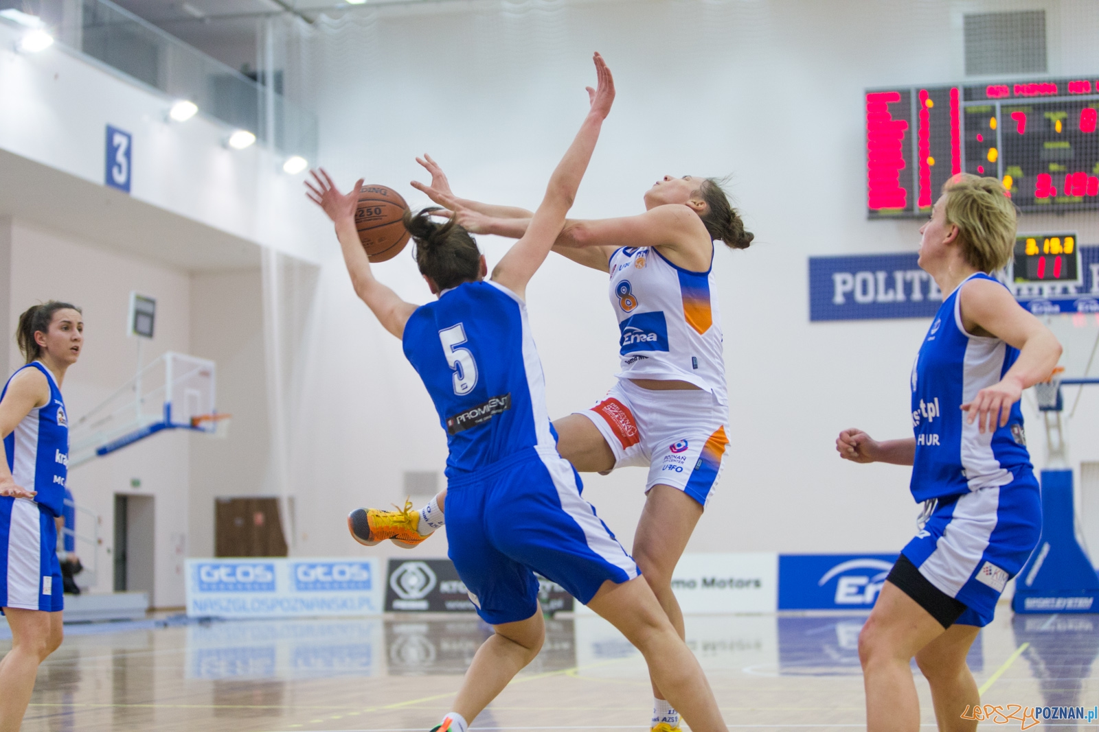 Enea AZS Poznań - AZS Politechnika Korona Kraków Foto: lepszyPOZNAN.pl / Piotr Rychter Enea AZS Poznań - AZS Politechnika Korona Kraków Foto: lepszyPOZNAN.pl / Piotr Rychter