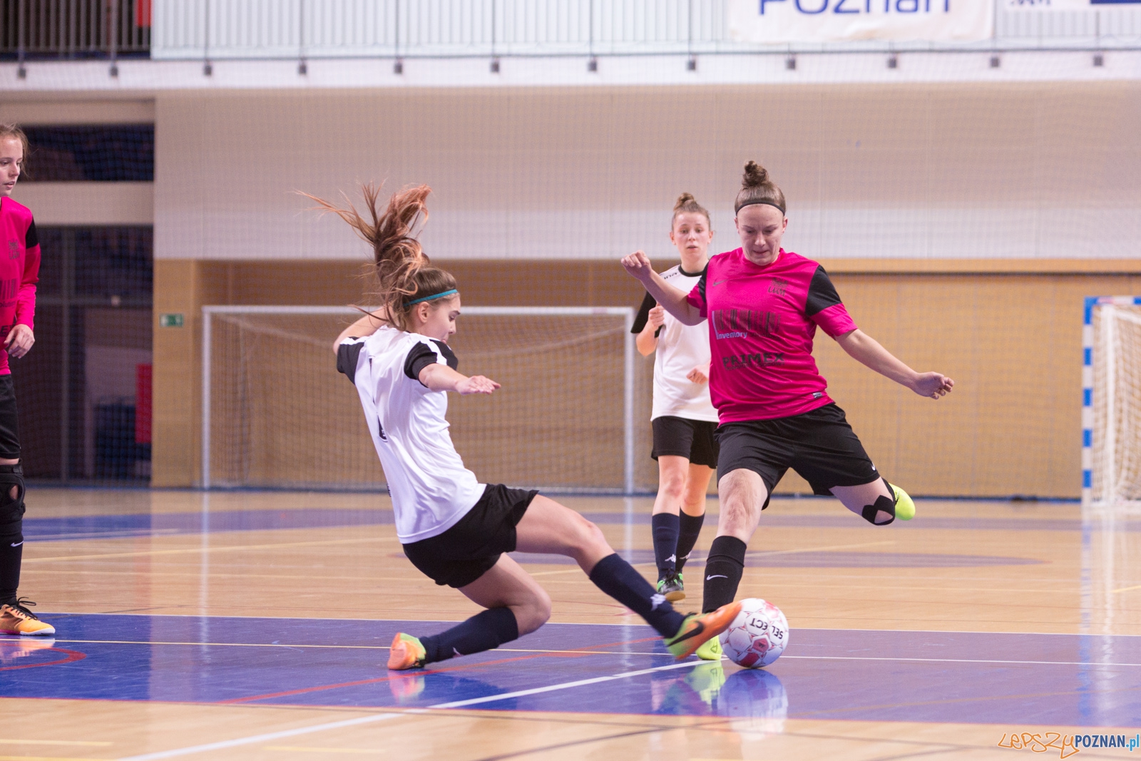 AZS Uam Poznań - Viking Aleksandrów Kujawski Foto: lepszyPOZNAN.pl / Piotr Rychter AZS Uam Poznań - Viking Aleksandrów Kujawski Foto: lepszyPOZNAN.pl / Piotr Rychter